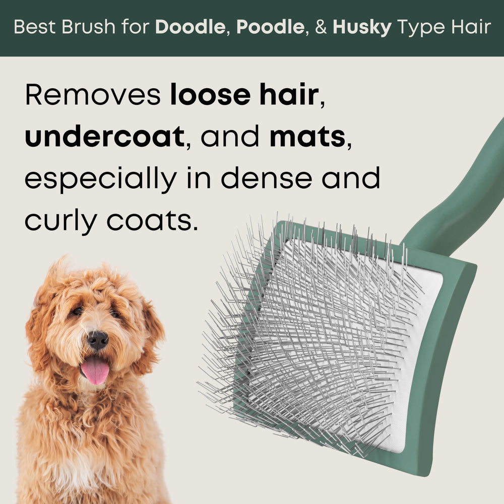 Freshly Bailey Doodle Brush in use on a dog for gentle grooming.