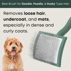 Freshly Bailey Doodle Brush in use on a dog for gentle grooming.