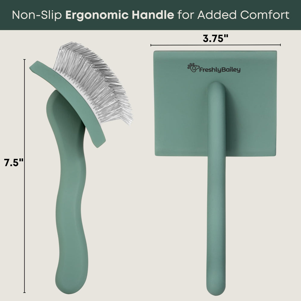 Freshly Bailey Doodle Brush packaging highlights value and ease.