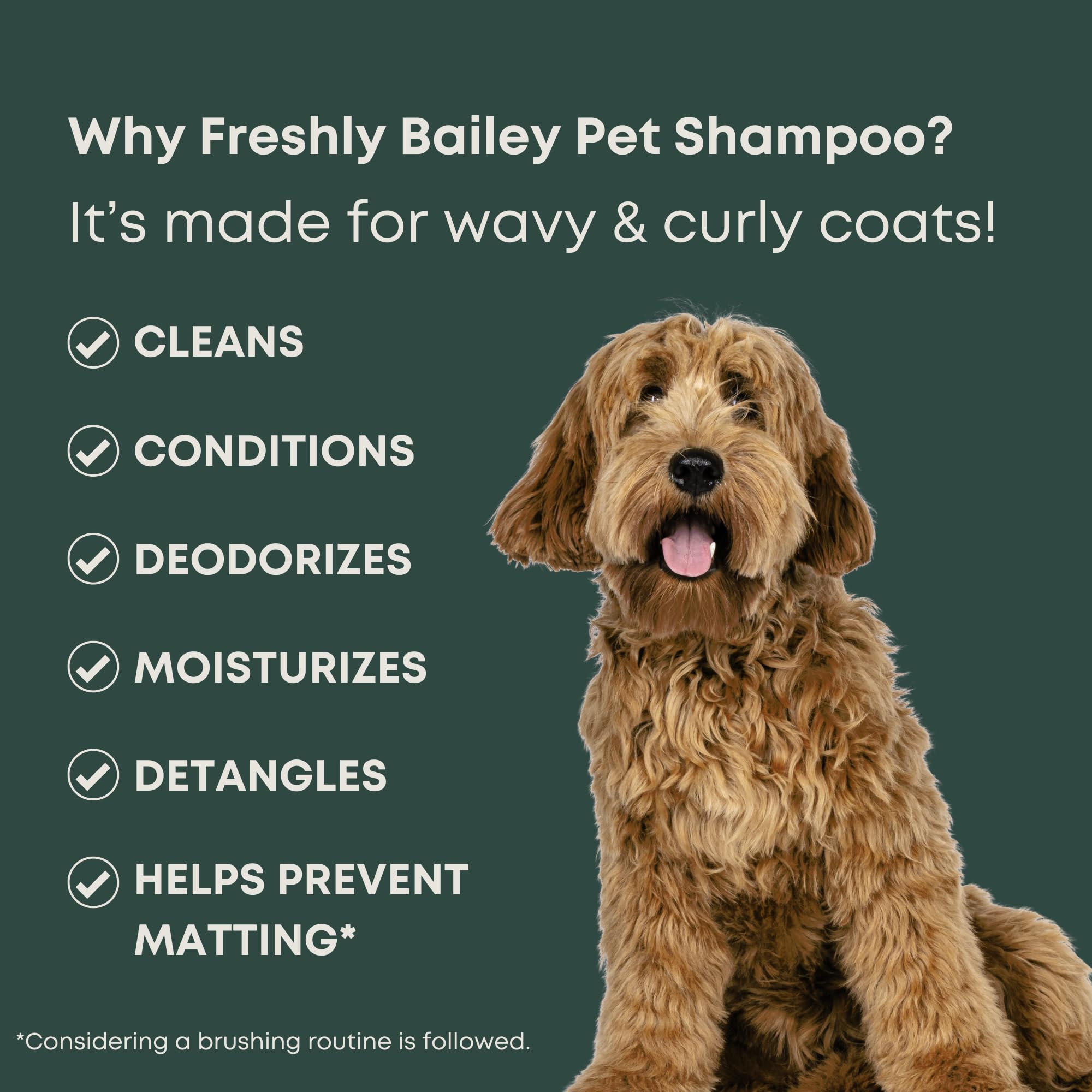 Freshly Bailey Doodle Shampoo label close-up highlights hydrating formula for sensitive skin.