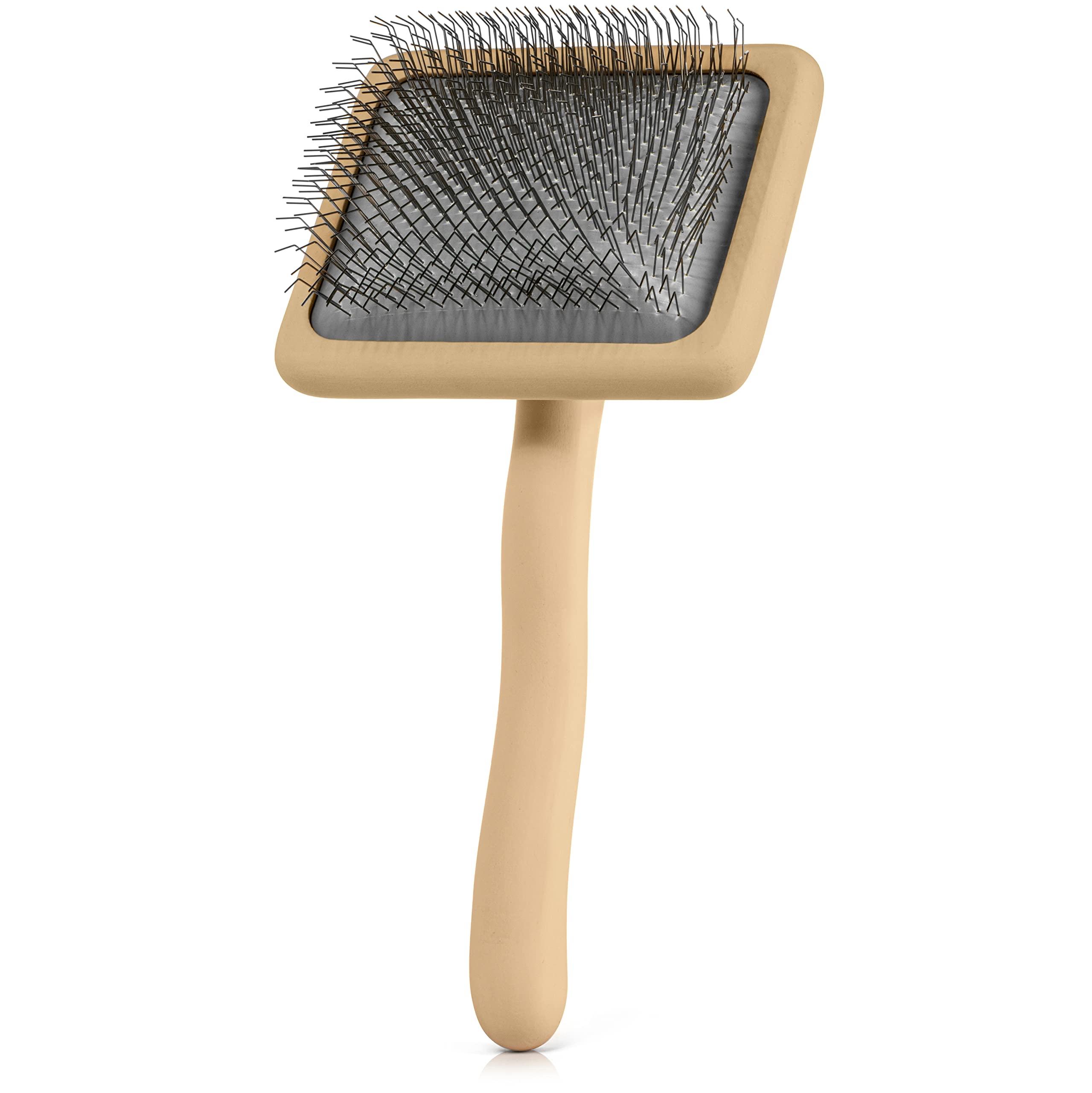 Freshly Bailey Doodle Slicker Brush aftercare routine keeps coats soft and fluffy.