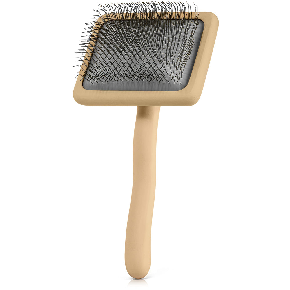 Freshly Bailey Doodle Slicker Brush aftercare routine keeps coats soft and fluffy.
