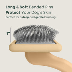 Freshly Bailey Doodle Slicker Brush detangles mats and removes dirt during grooming.