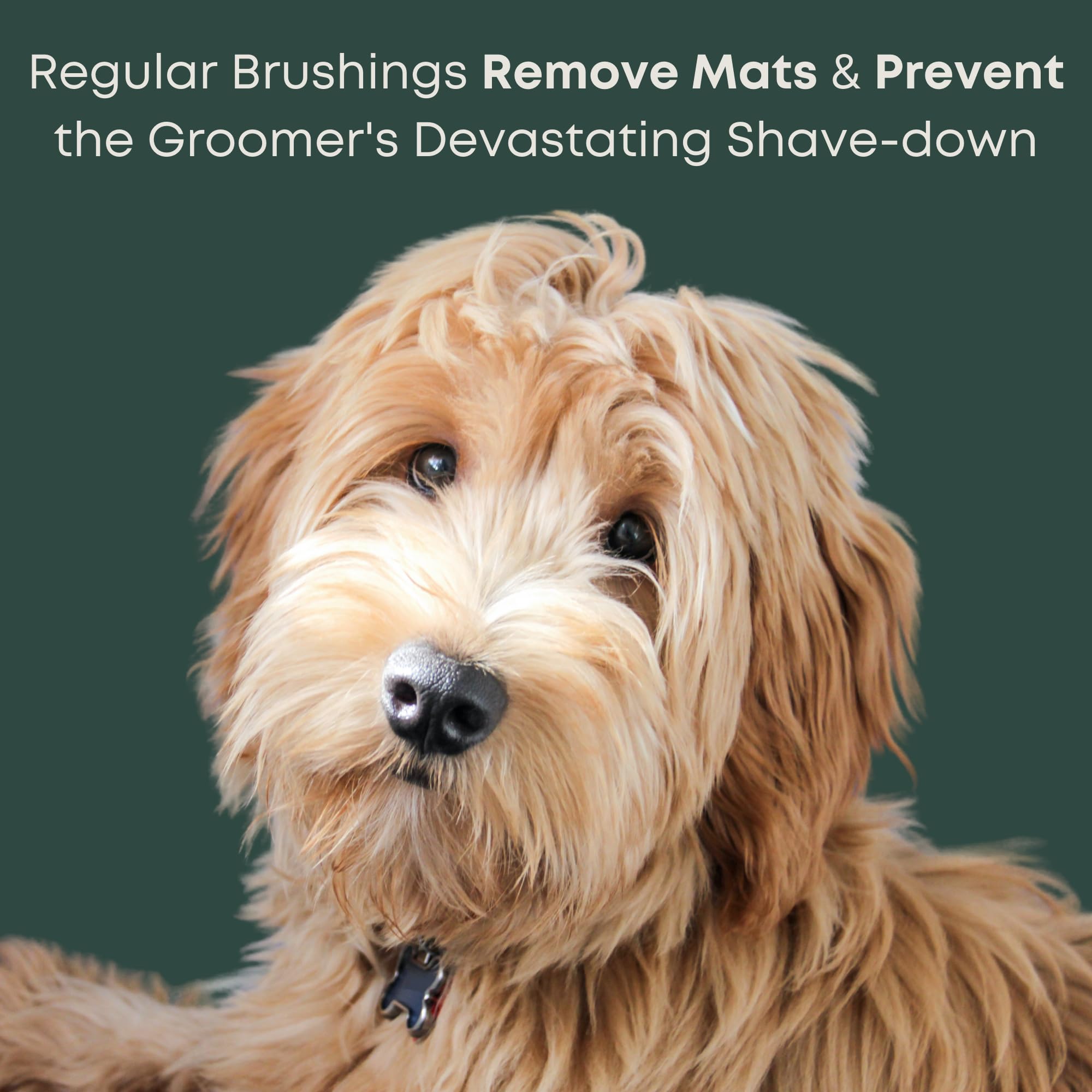 Freshly Bailey Doodle Slicker Brush line-brush technique yields best results.