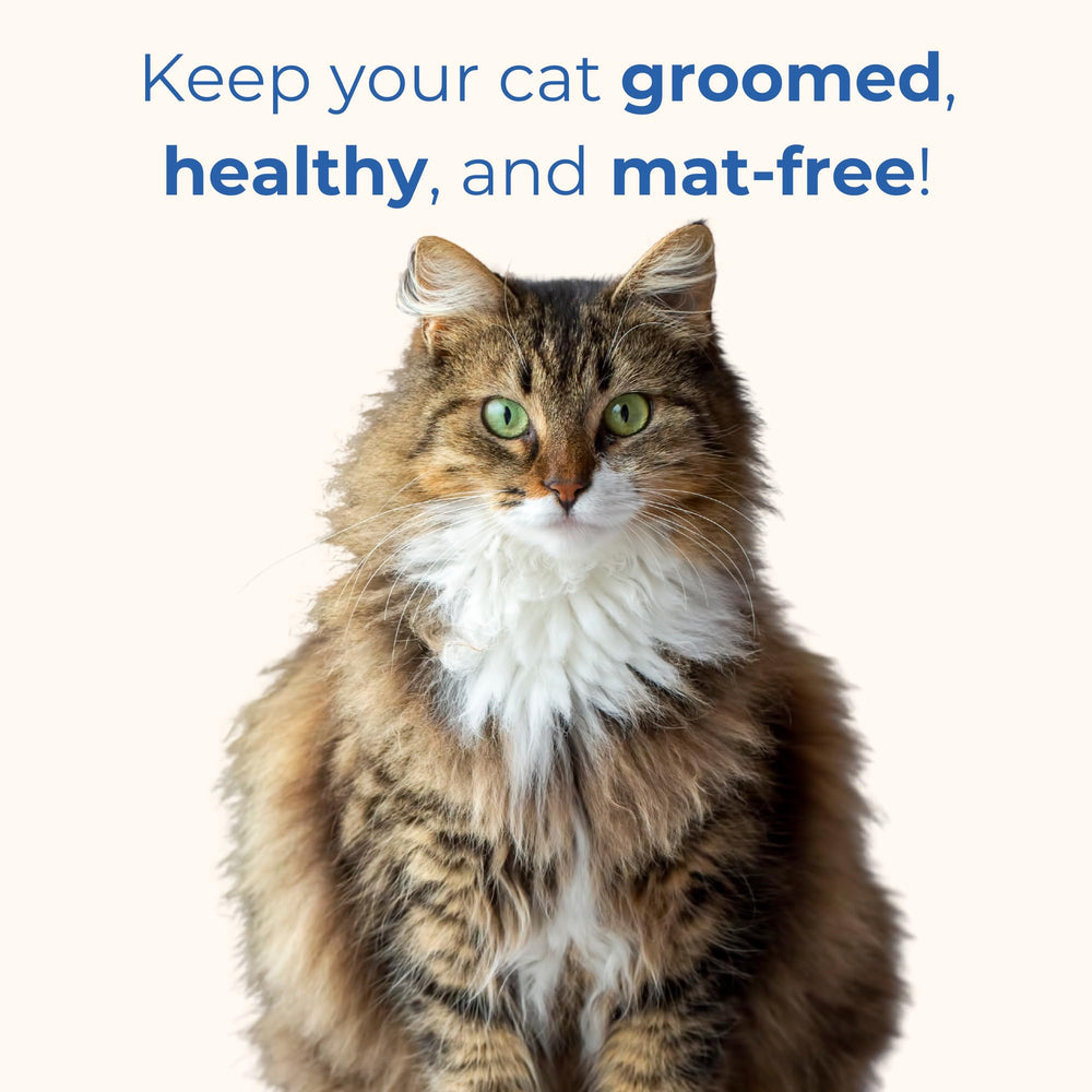 Freshly Bailey mat removal use helps detangle mats quickly with minimal stress.
