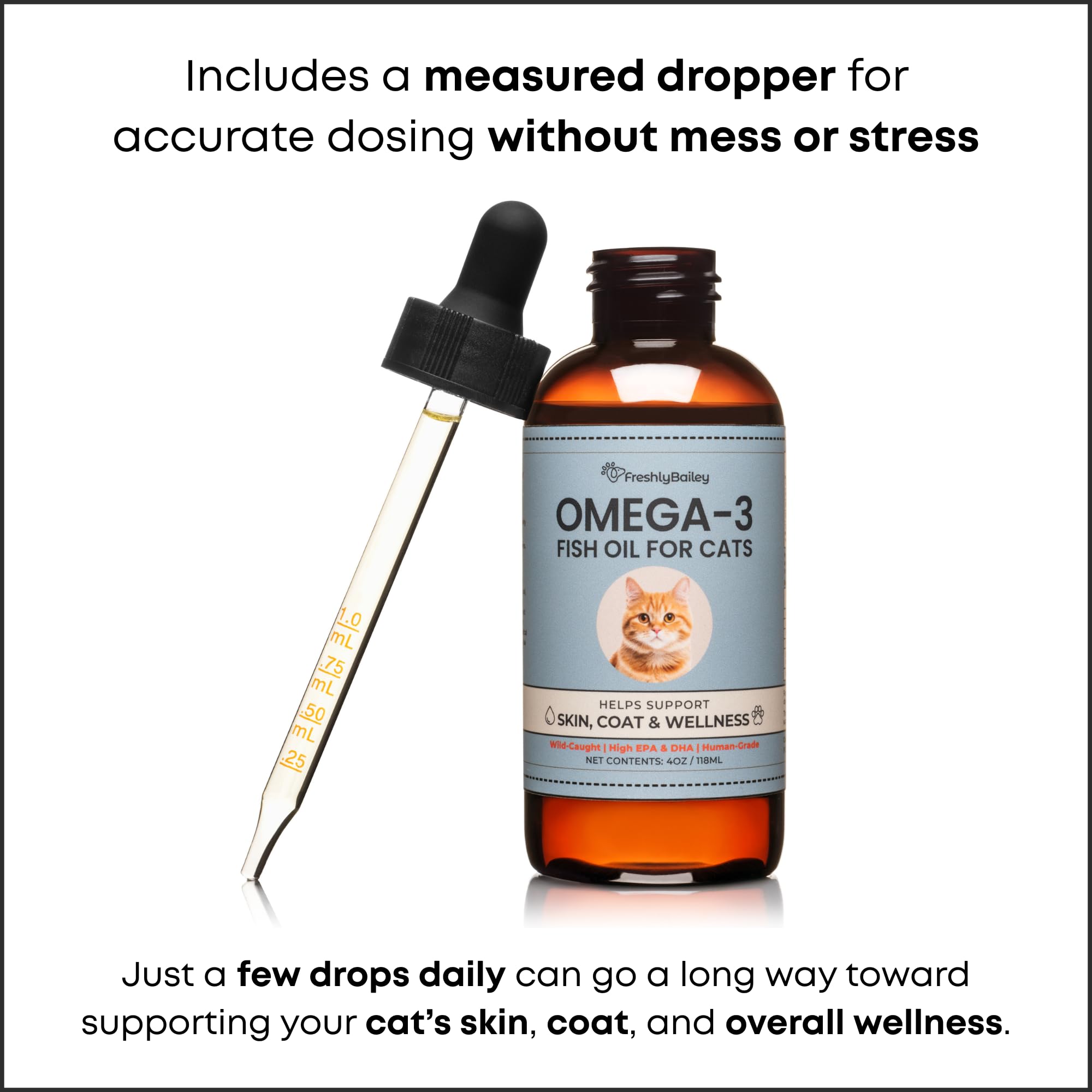 Freshly Bailey omega-3 into cat food helps seamless daily routine