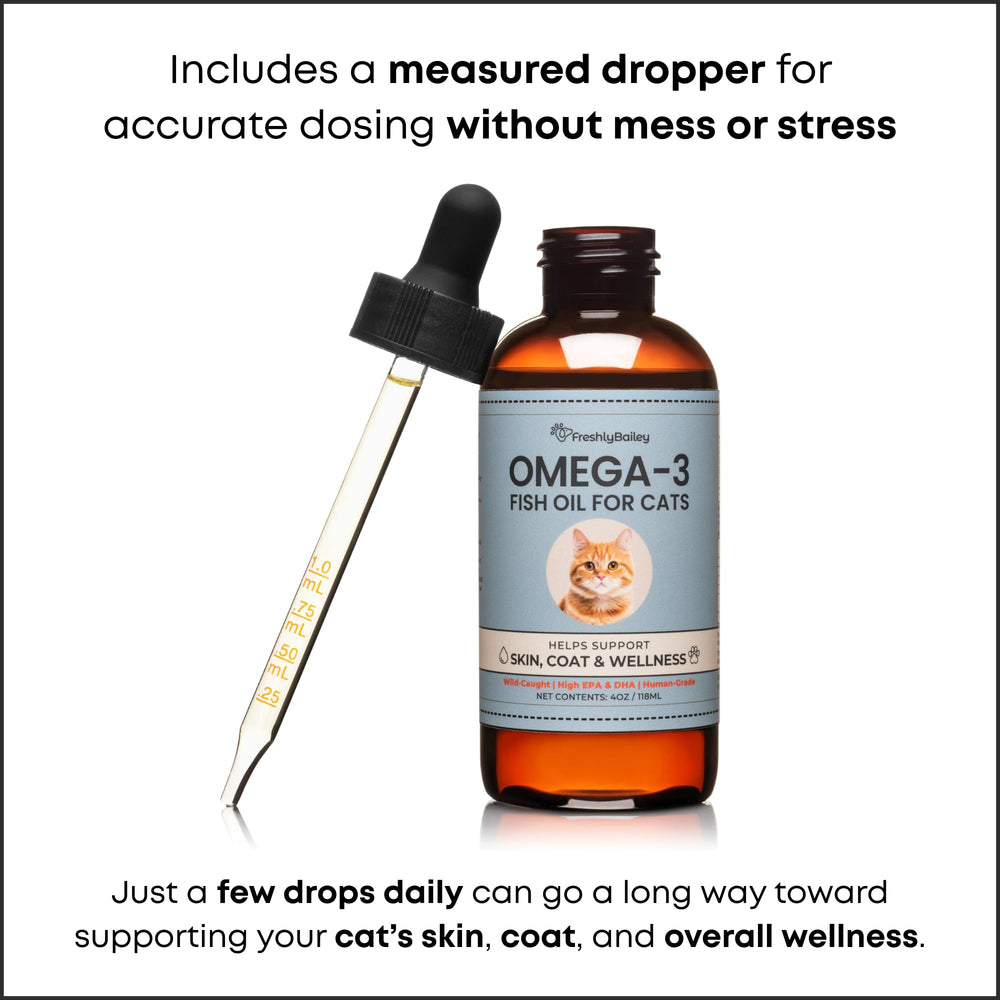 Freshly Bailey omega-3 into cat food helps seamless daily routine