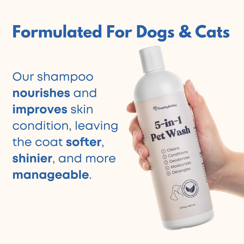 Freshly Bailey pet-clean coat after-wash close-up highlights shine and softness.