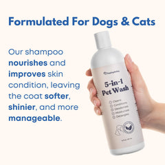 Freshly Bailey pet-clean coat after-wash close-up highlights shine and softness.