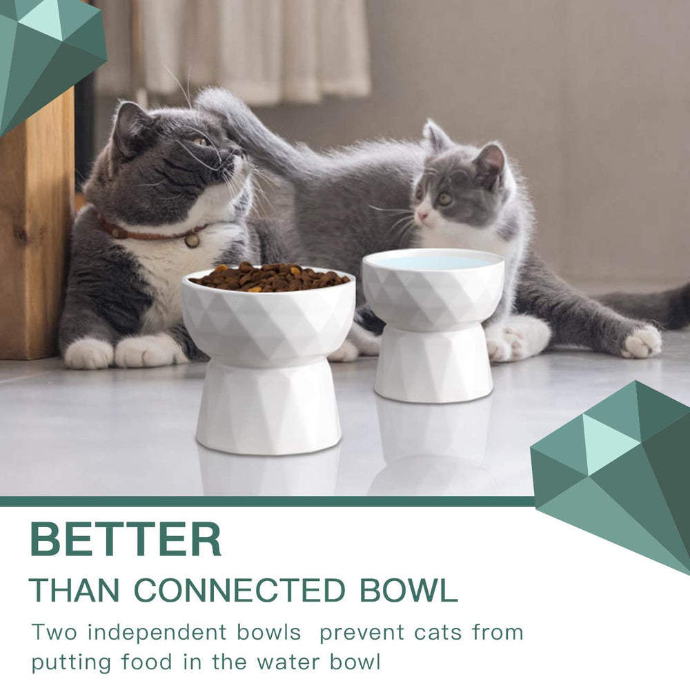 Frewinky ceramic construction resists staining and promotes chin comfort