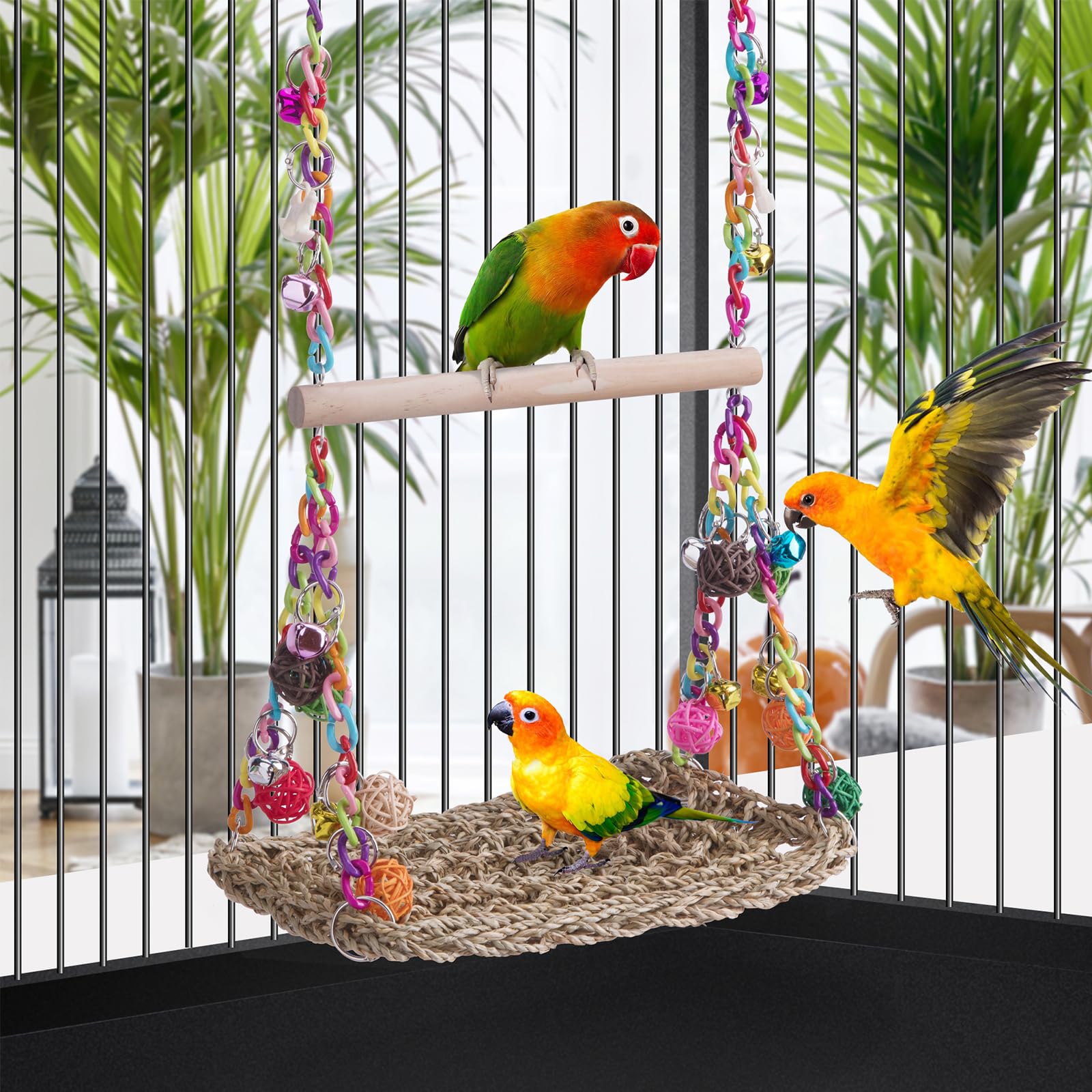 FrgKbTm seagrass hammock provides cozy rest and enrichment.