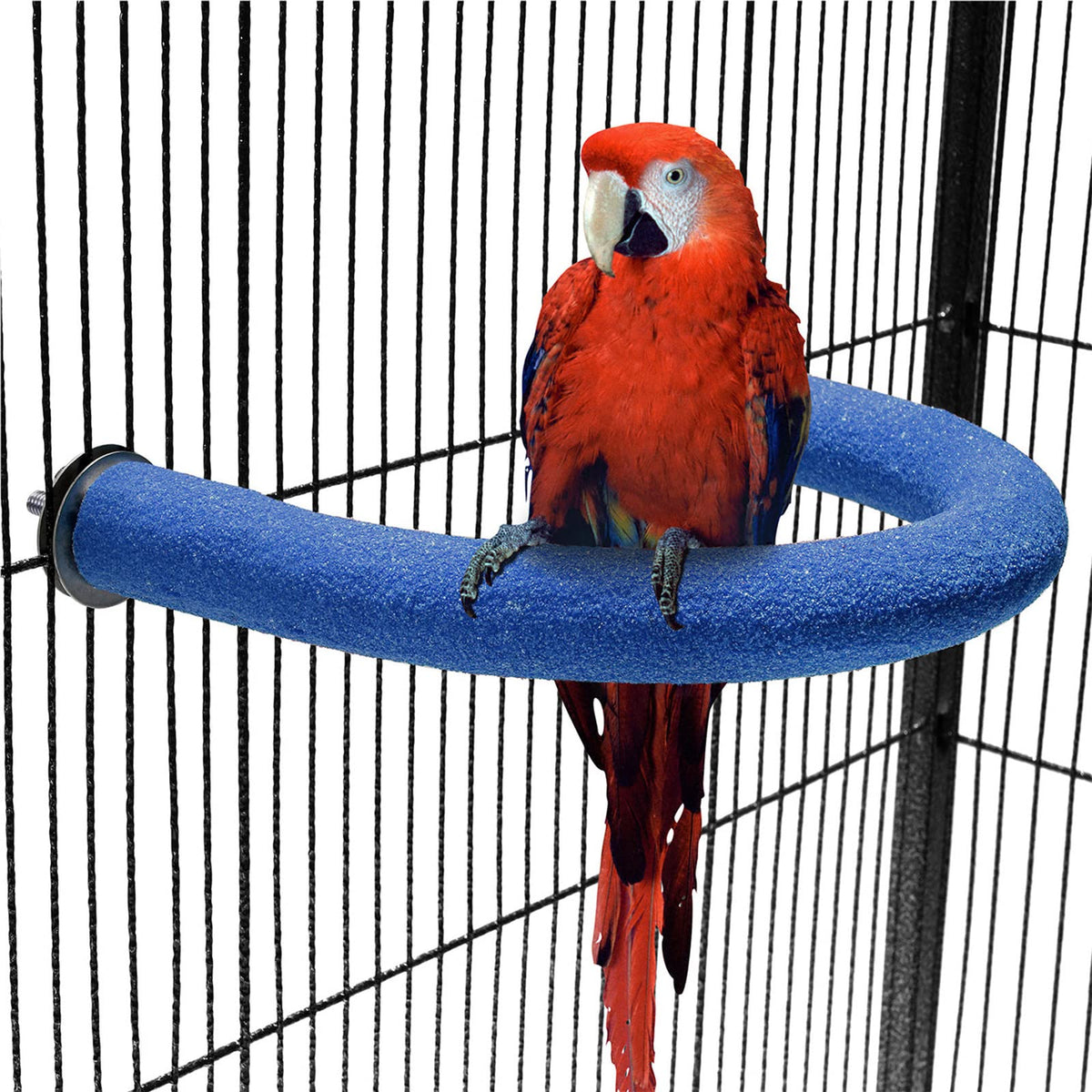 FrgKbTm parrot-perch rough-sand surface promotes natural foot exercise and safe chewing