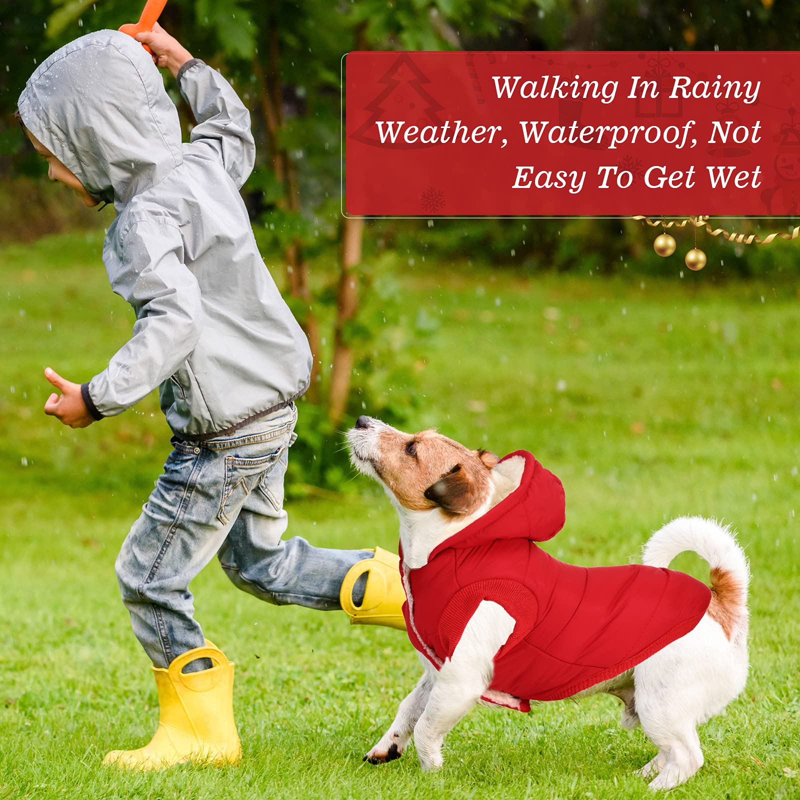 Frienda 3-Piece Dog Sweater Set all-in-one outfit for versatile wear.