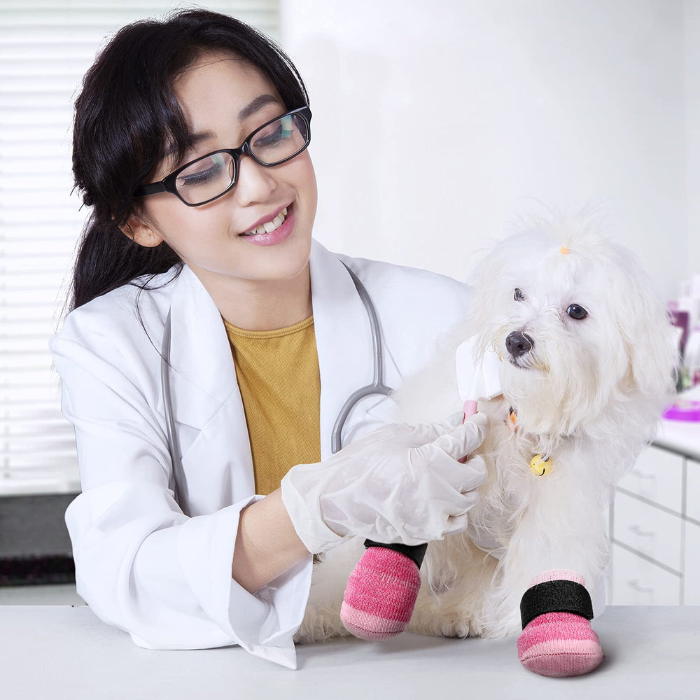 Frienda size chart paw-measure guide image helps choose the right fit