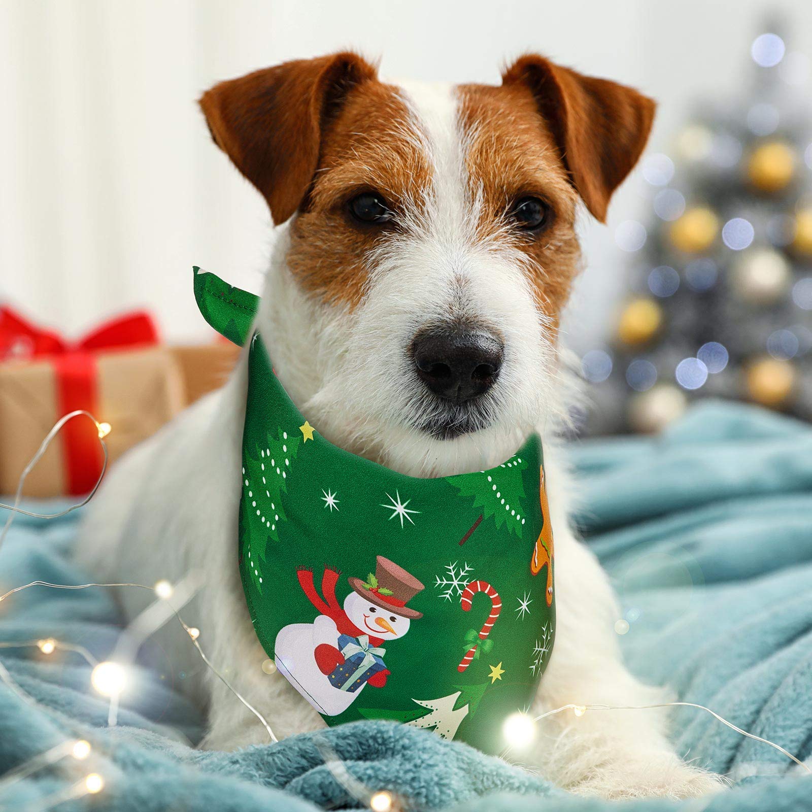 Frienda Christmas pet scarf for parties and festive events