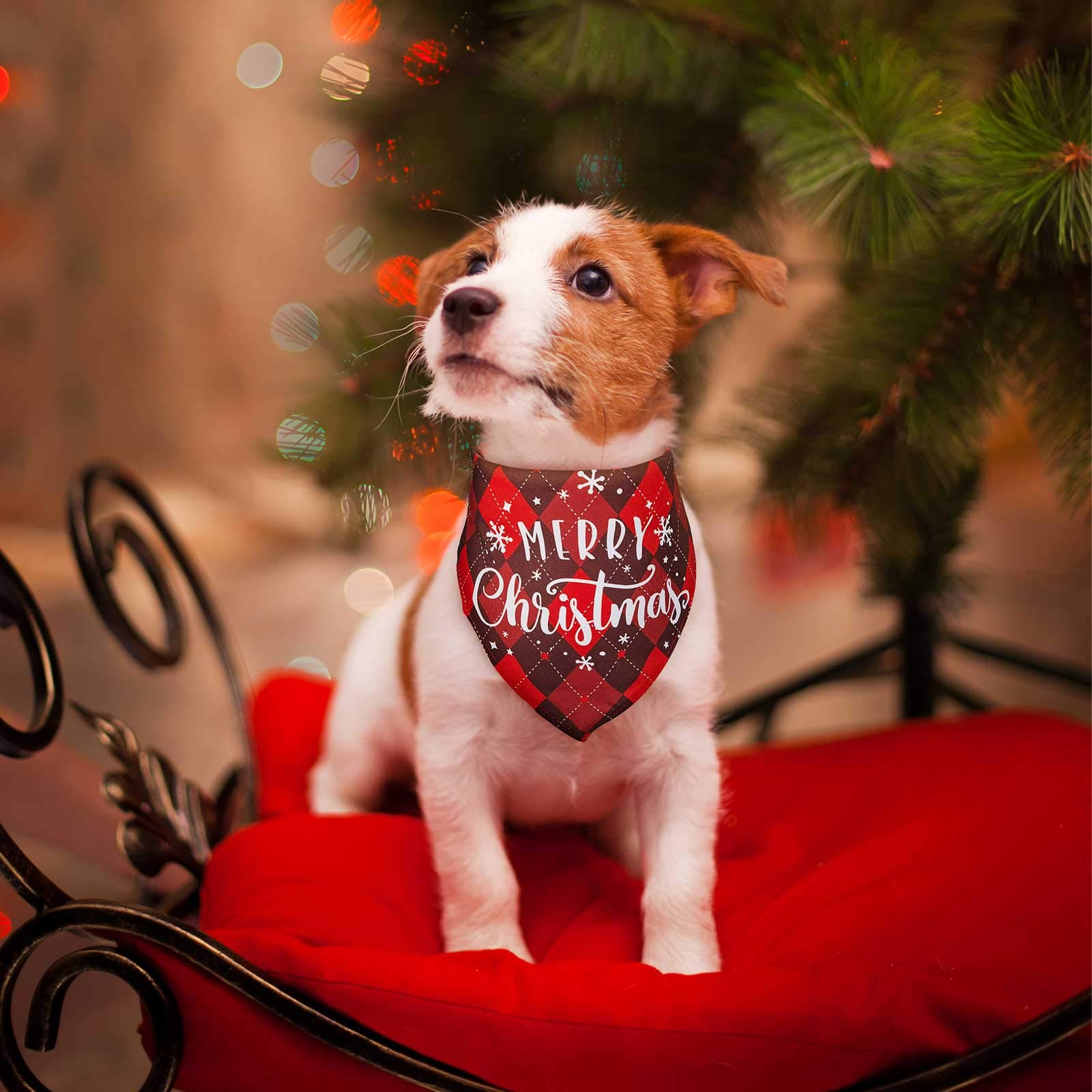 Frienda washable polyester dog scarf offers breathable comfort