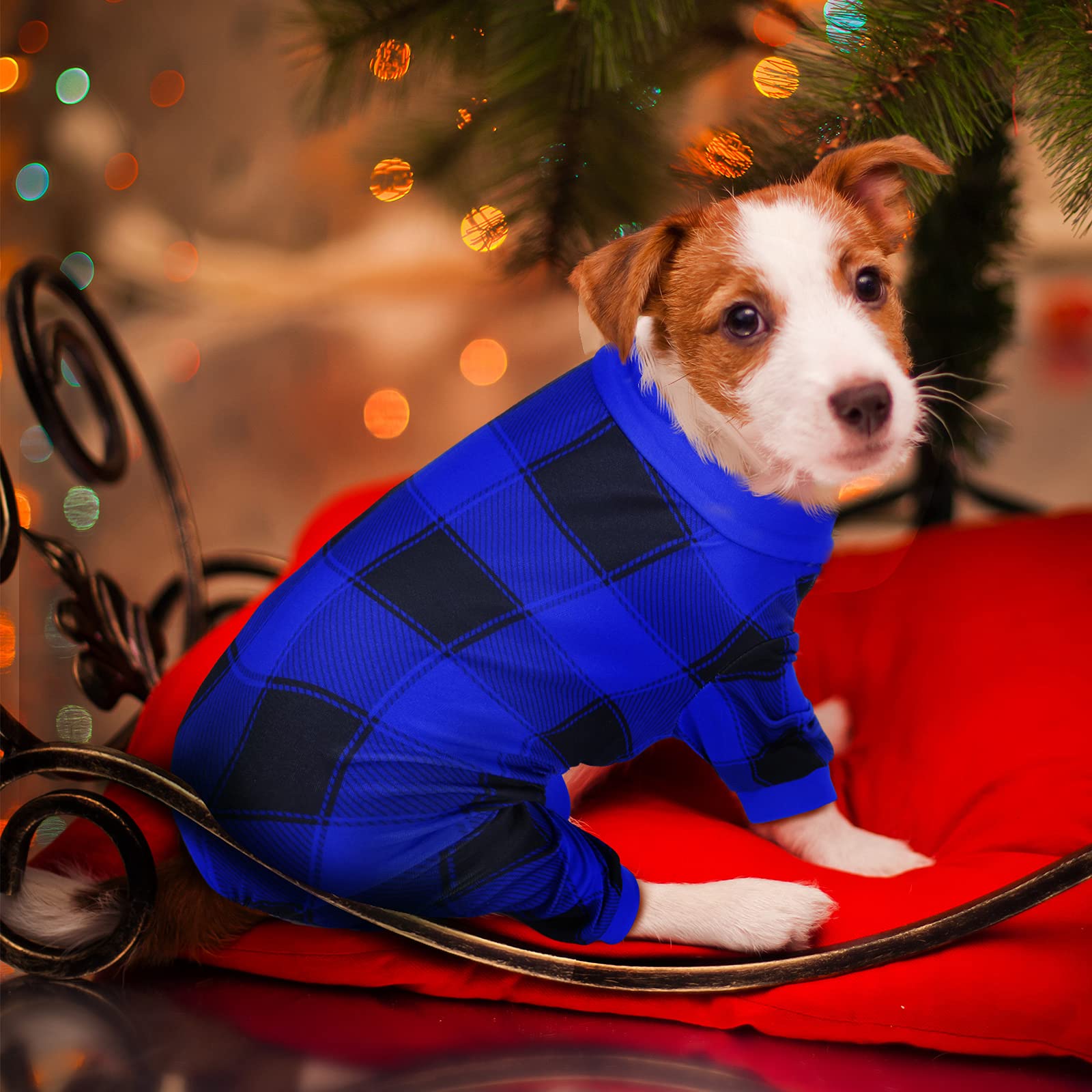 Frienda three-piece sizes help fit small to medium pets