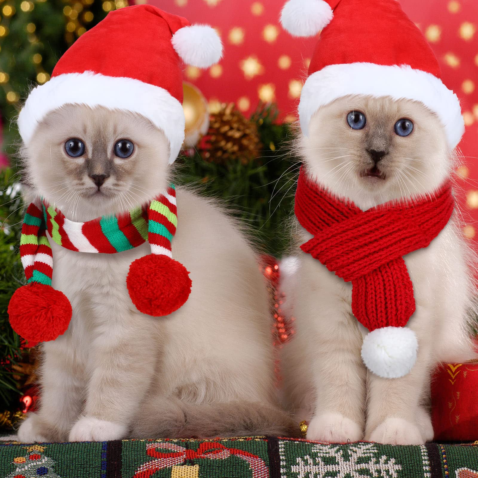 Frienda Christmas outfit on pet ready for holiday gatherings