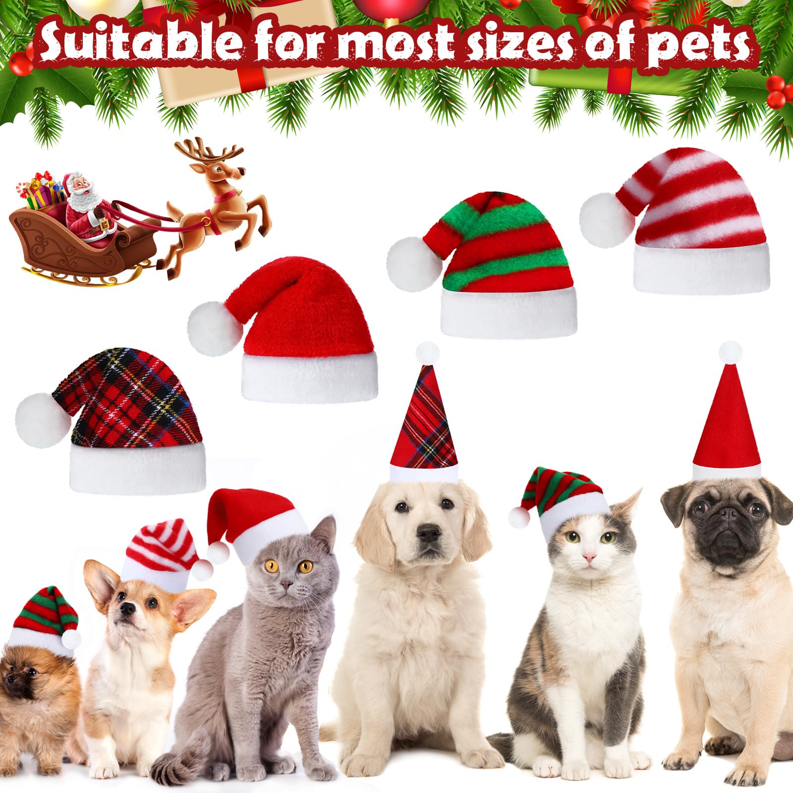 Frienda Christmas pet hats used as cozy photo props.