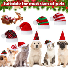 Frienda Christmas pet hats used as cozy photo props.