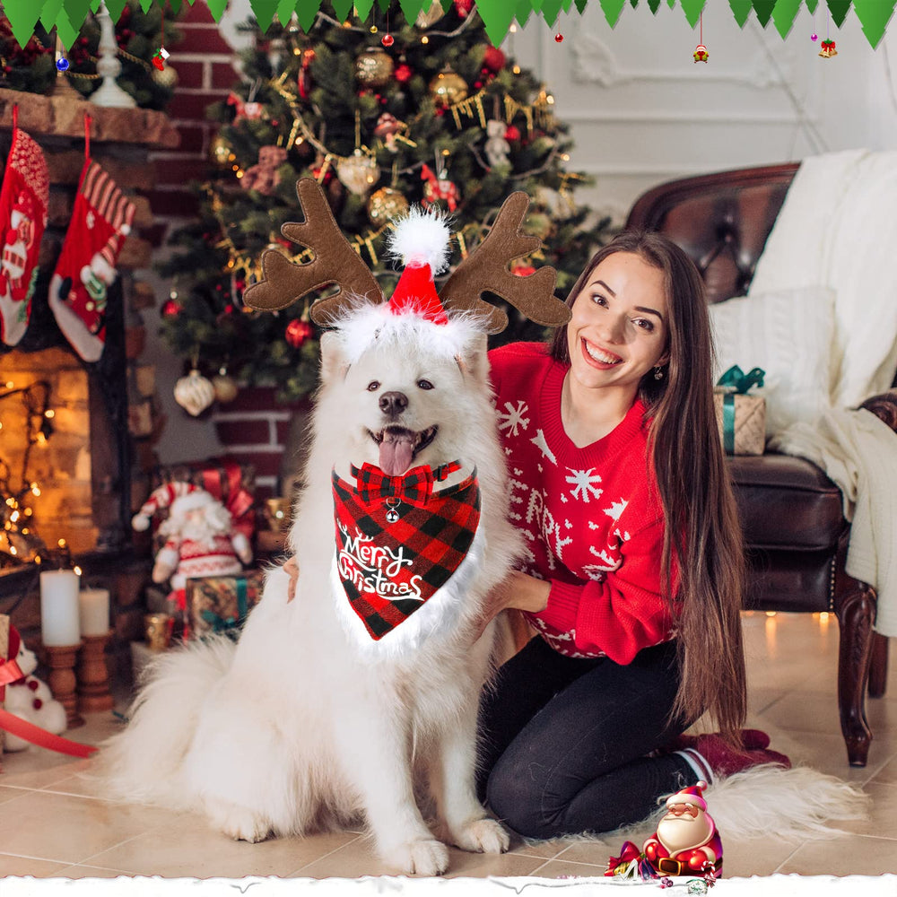 Frienda Christmas pet outfit gift package ideal for gifting pets