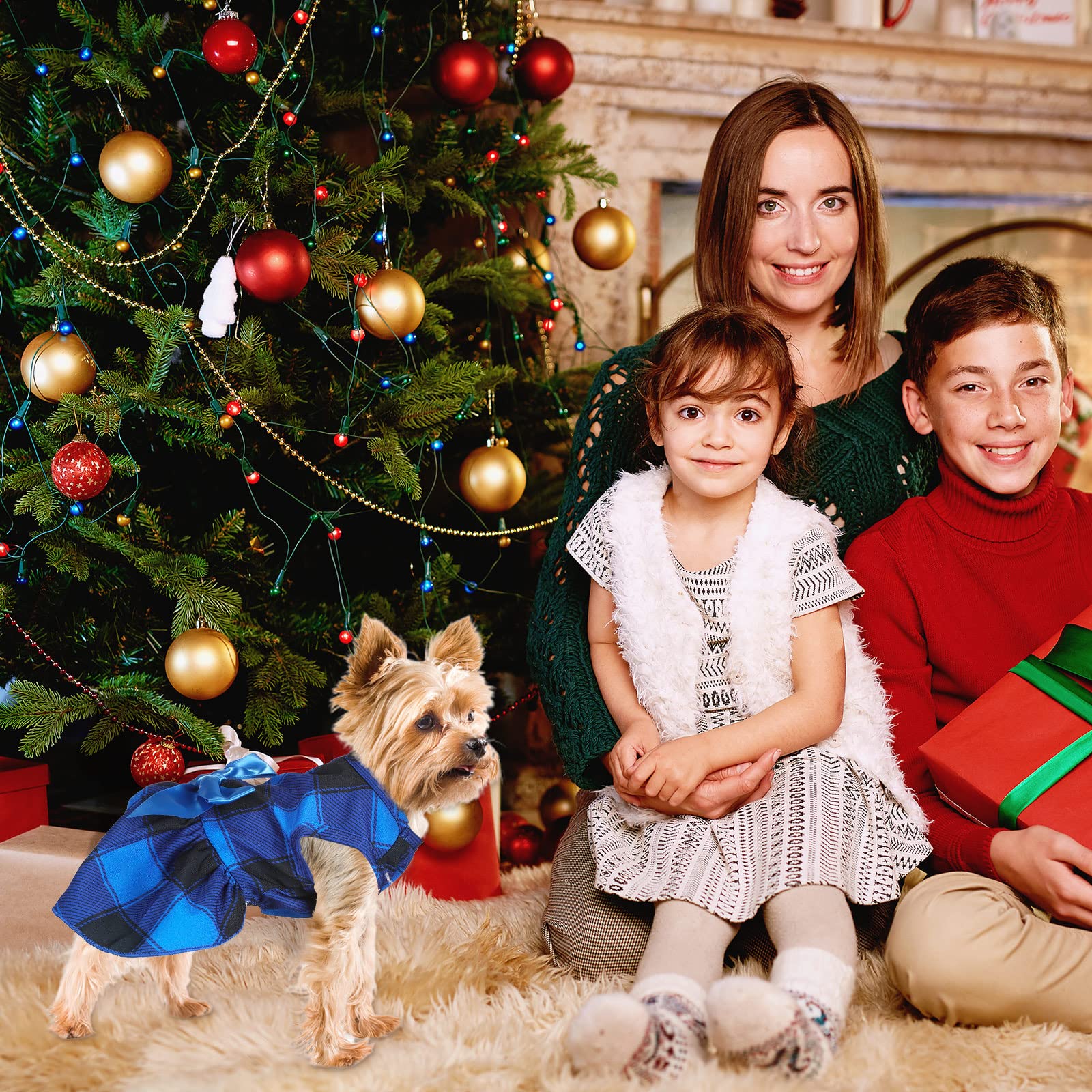 Frienda Christmas plaid puppy dress with green bowknot for holiday style