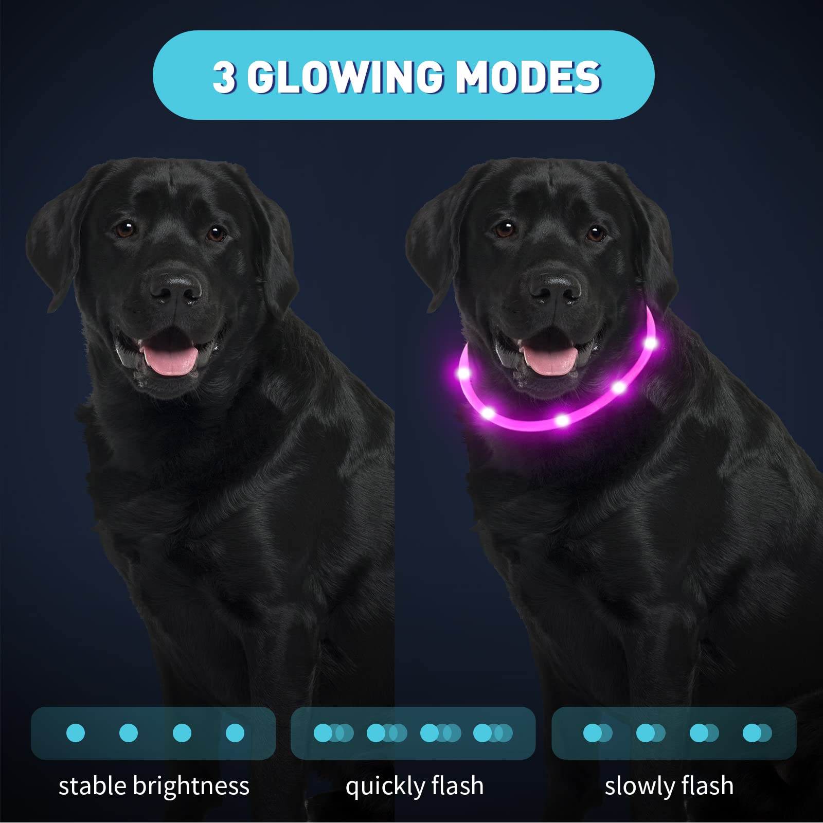 Collar LED Frienda rojo para perros, detección en oscuridad