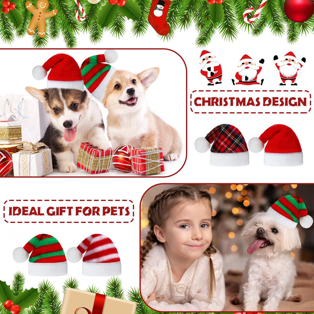 Frienda compact pet hats sized 7.48 x 5.51 inches for easy storage.