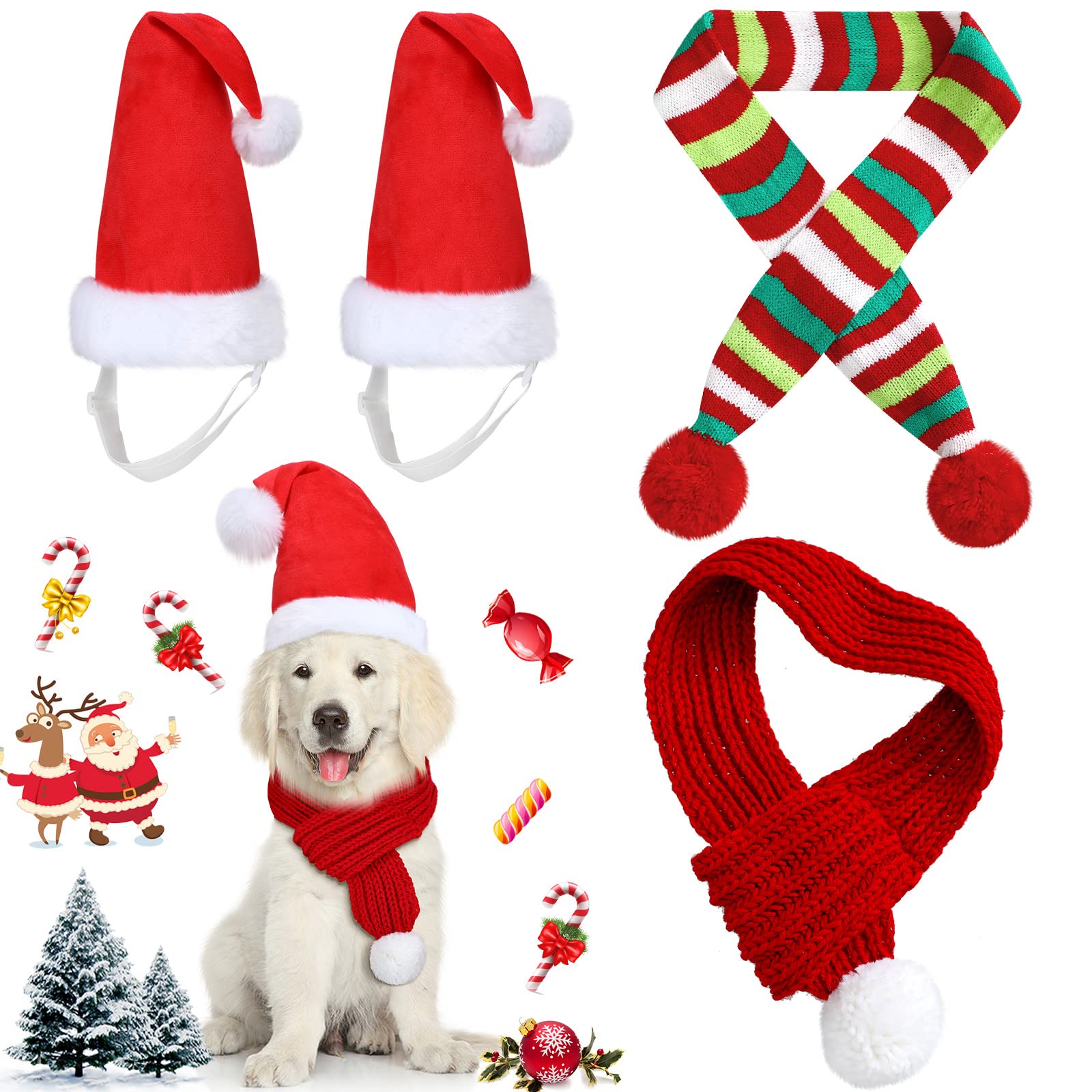 Frienda dog Christmas hat pom-pom close-up for festive photos