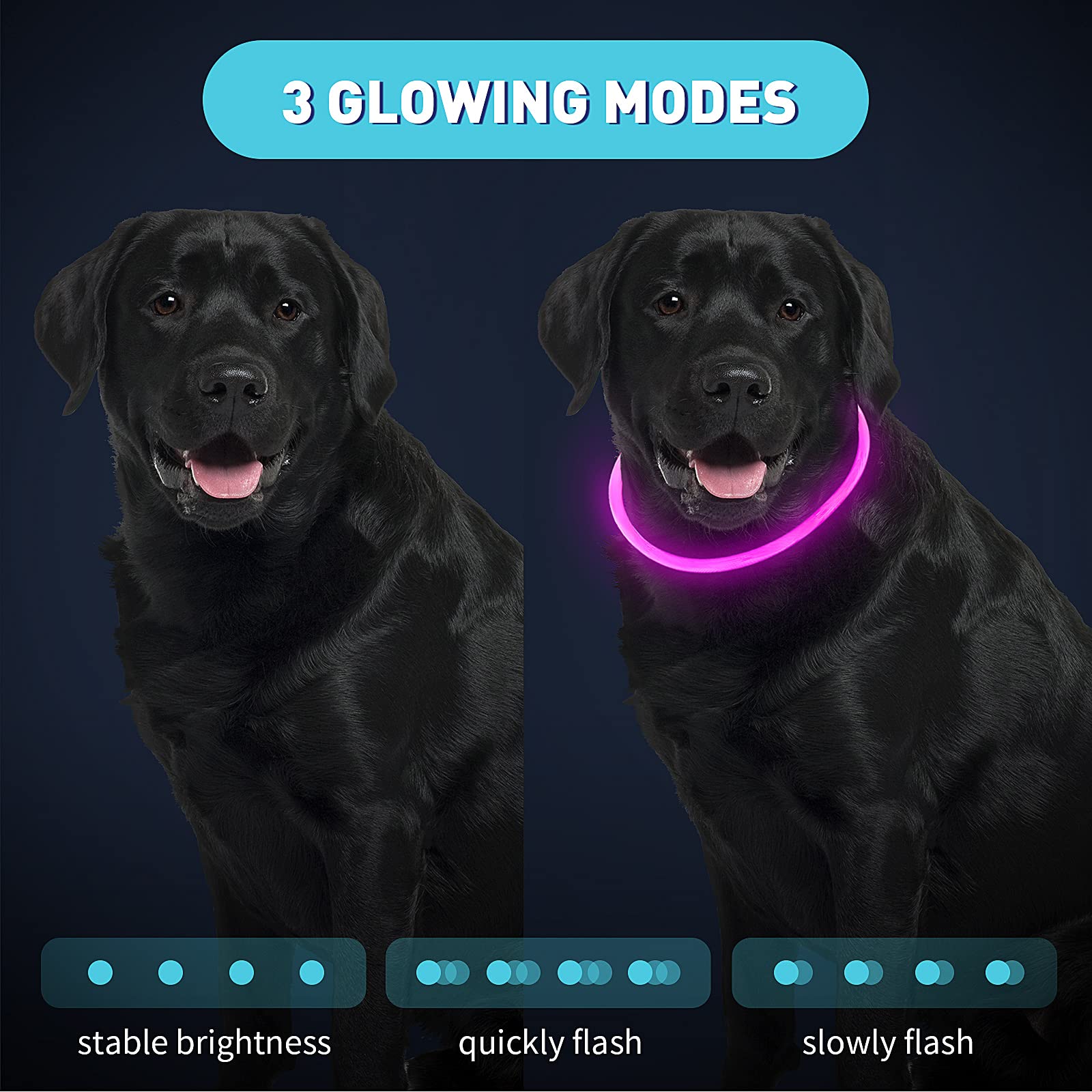 Frienda LED dog collar red on-dog view emphasizes high-contrast glow for driver awareness