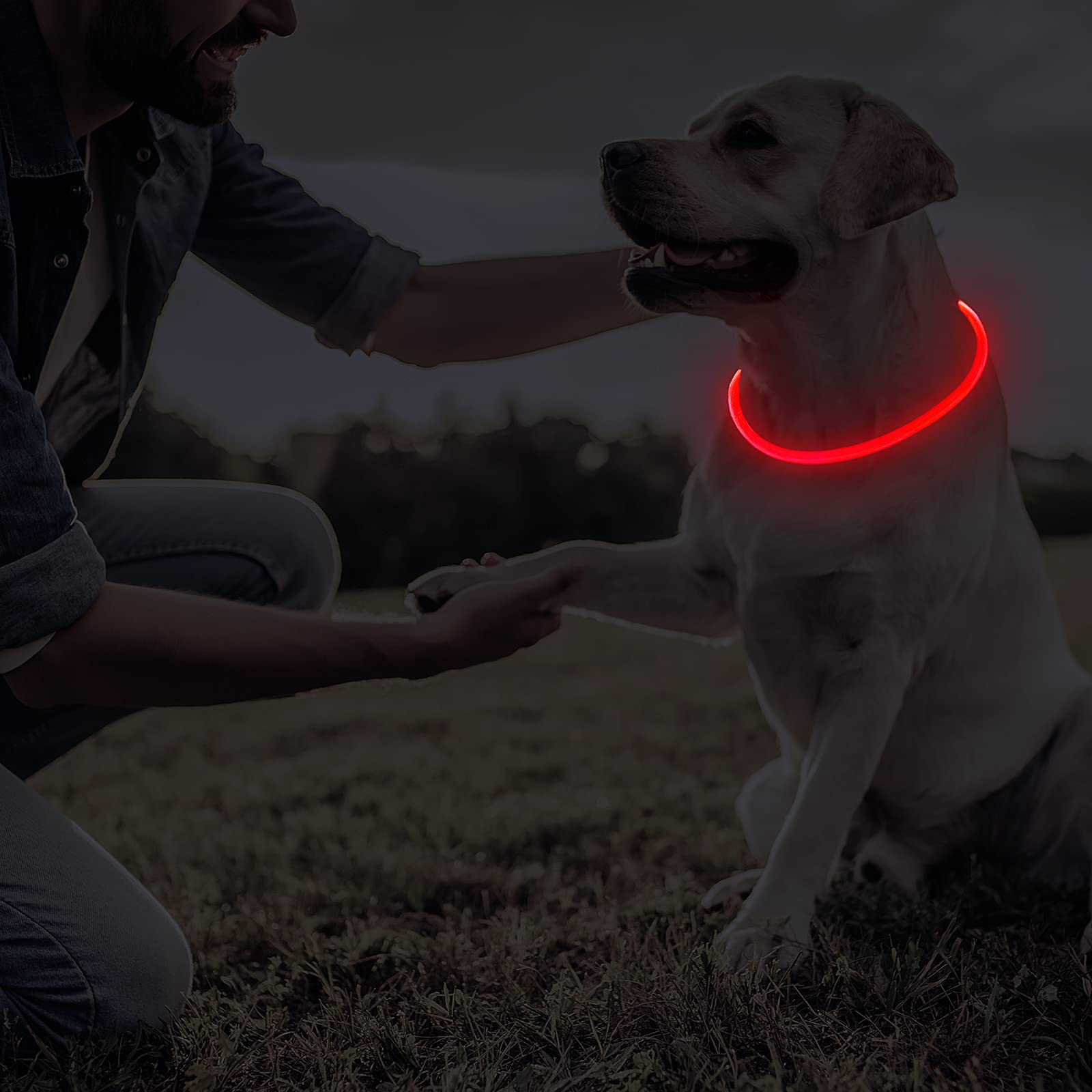 Frienda LED dog collar USB-rechargeable with included cable for convenient charging