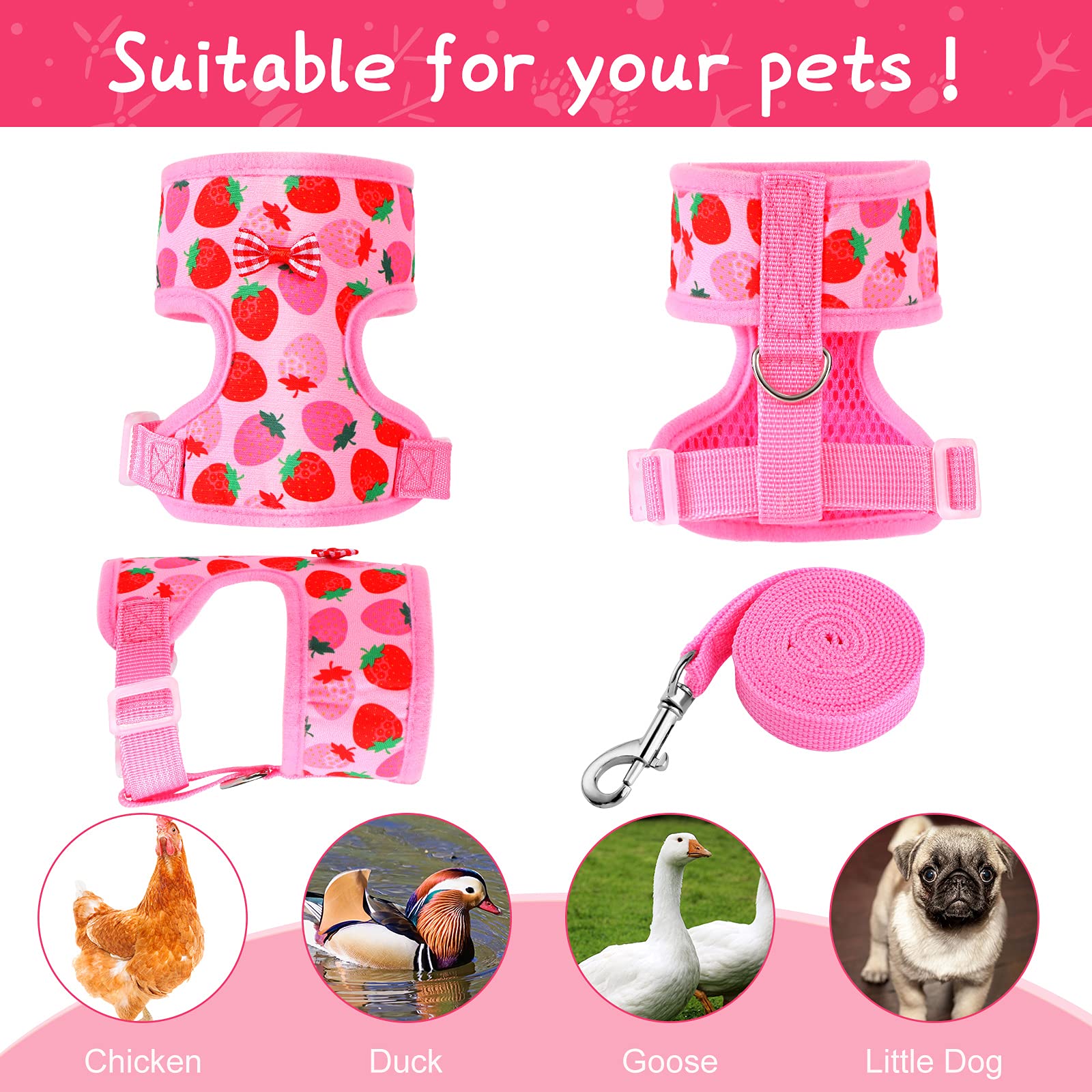 Frienda duck goose harness leash set supports easy training and handling outdoors