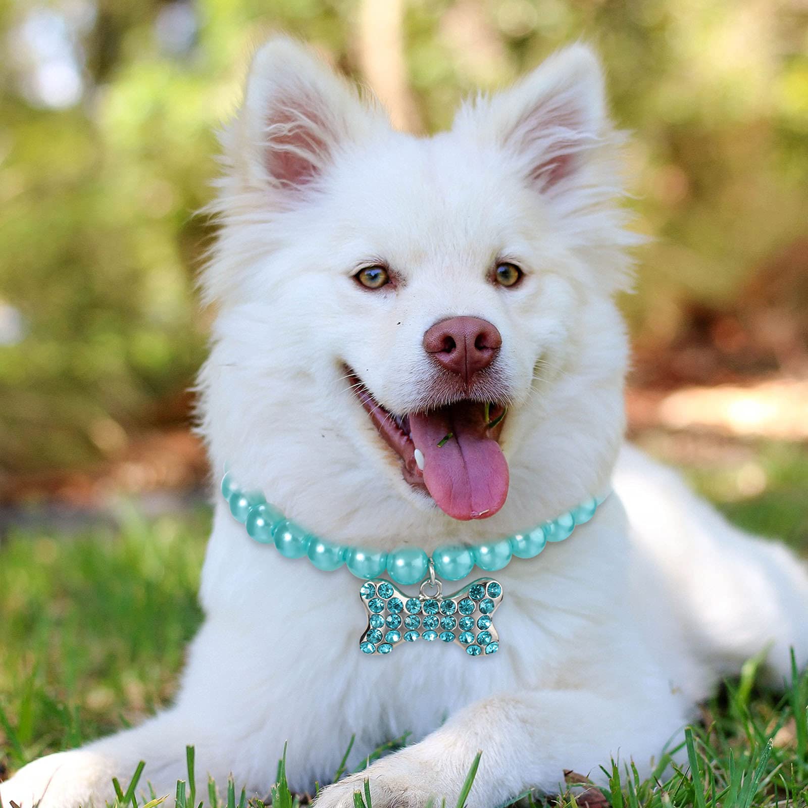 Frienda durable imitation pearl dog necklace emphasizes safe, lightweight ornament.