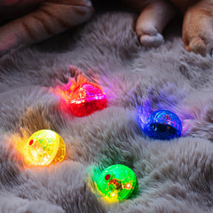 Frienda four-pack assembled, durable PC material for pets