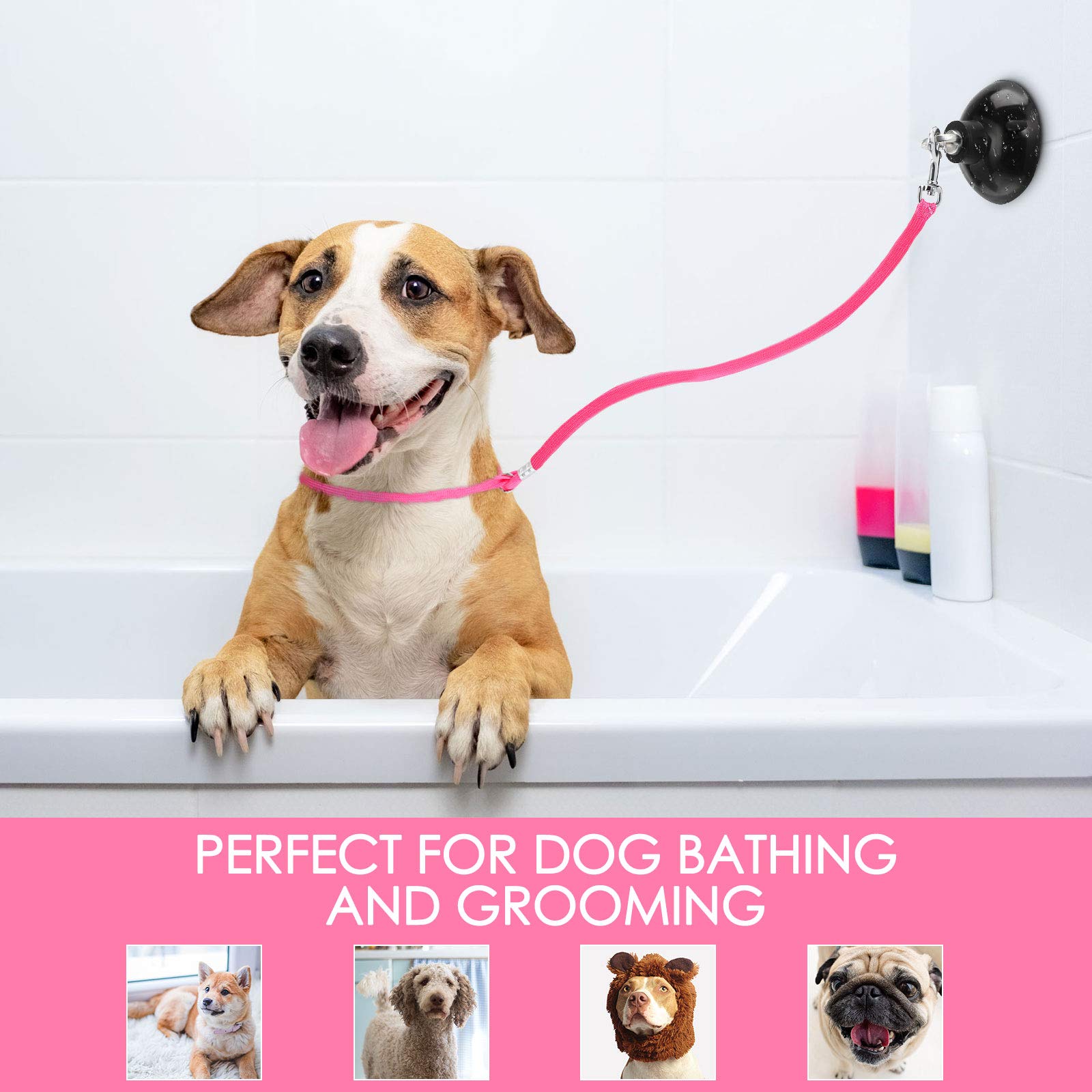 Frienda four-piece set offers complete home grooming convenience.