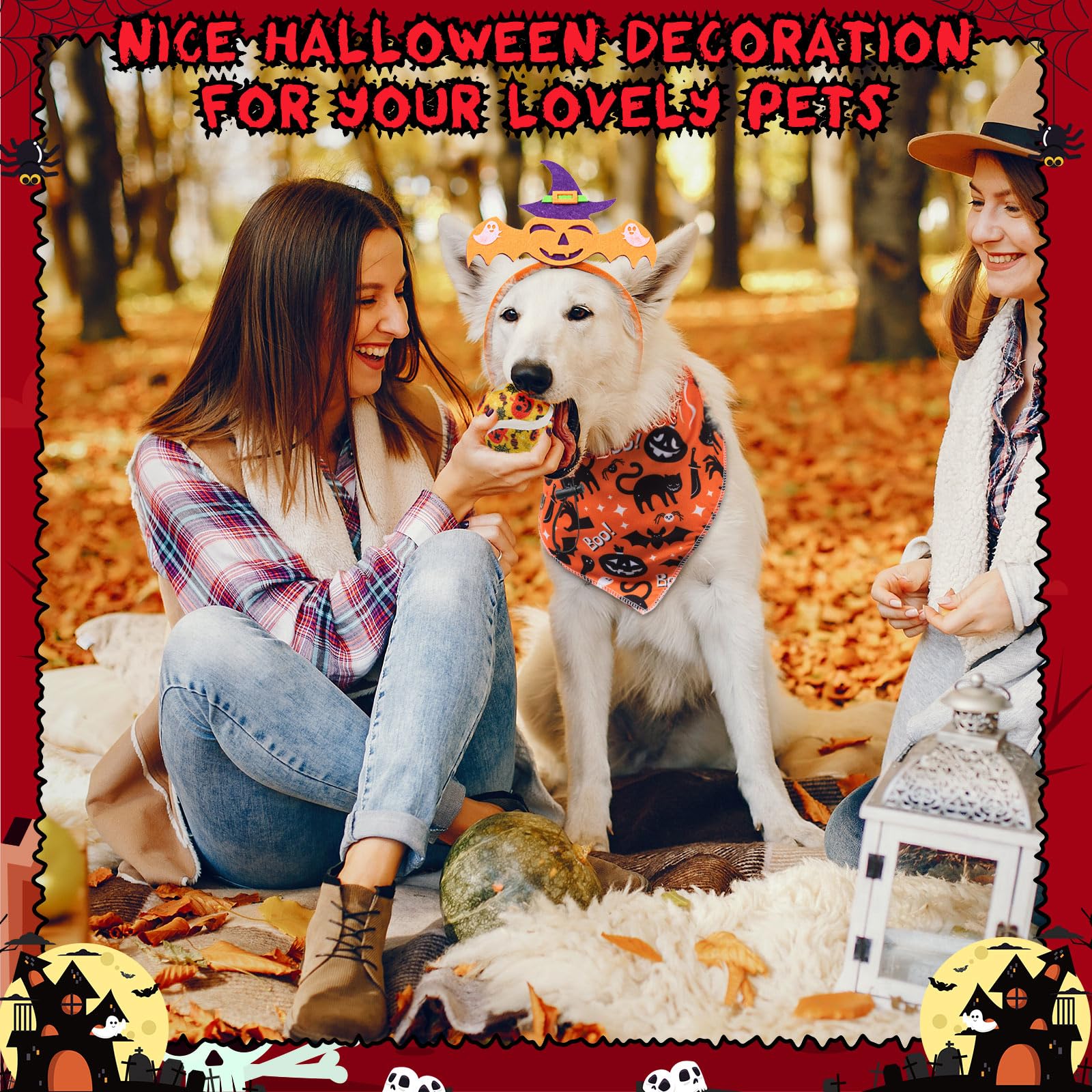 Frienda Halloween pet costume ensemble ideal for photos and parties