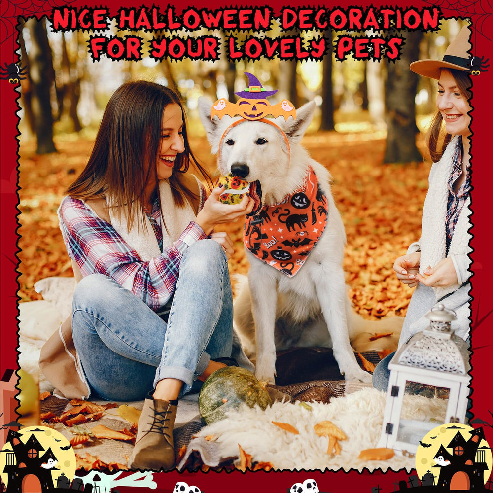 Frienda Halloween pet costume ensemble ideal for photos and parties
