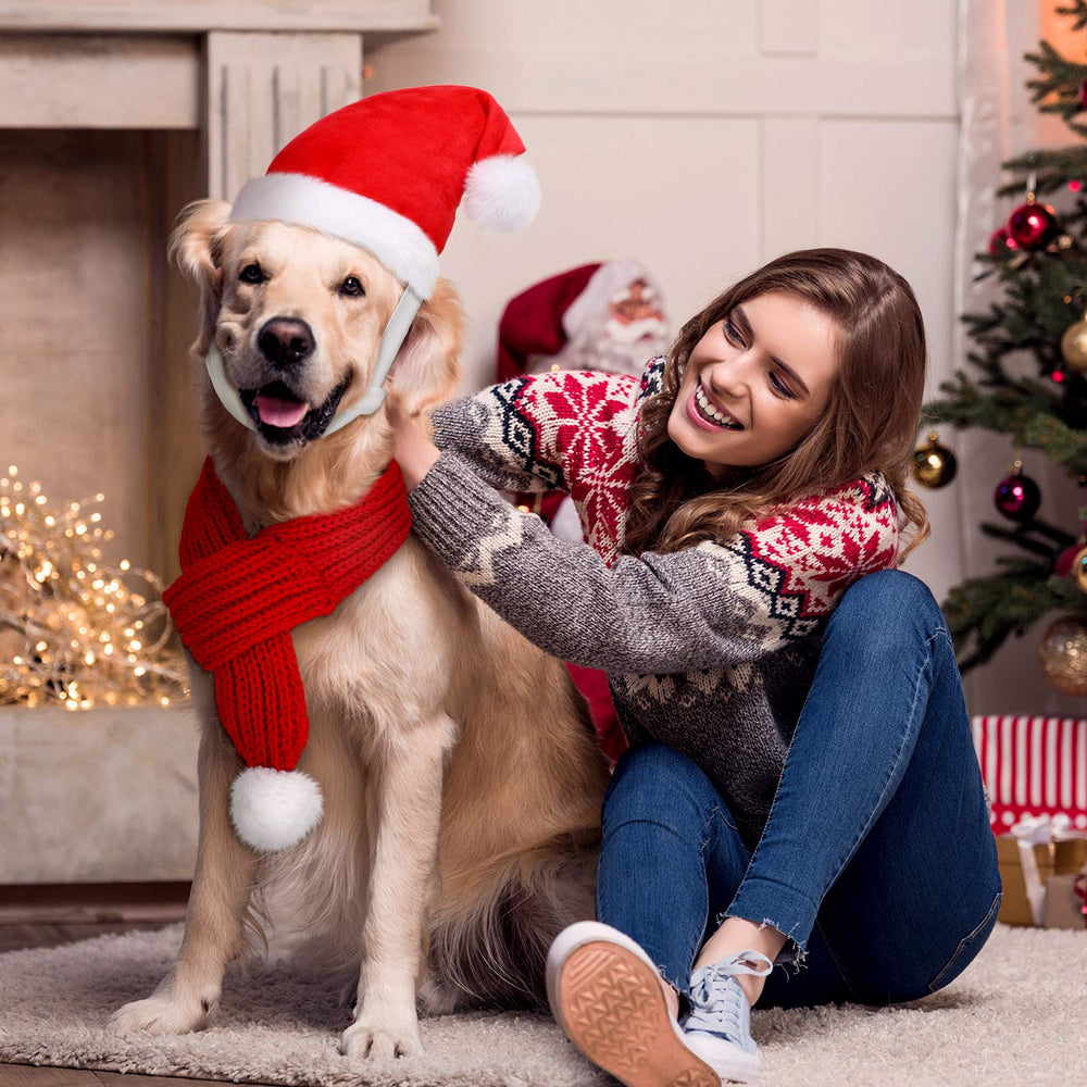 Frienda multi-piece pet gear set ideal for holidays and gifting