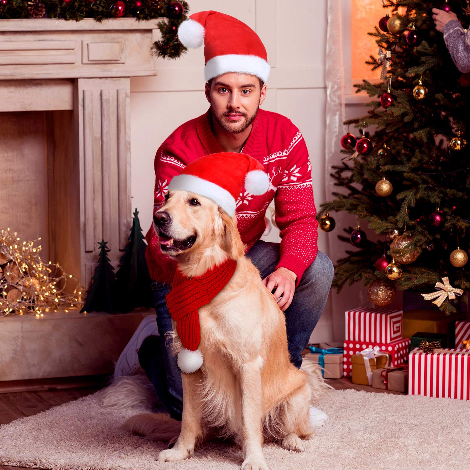 Frienda packaging showing two hats and two scarves for pets