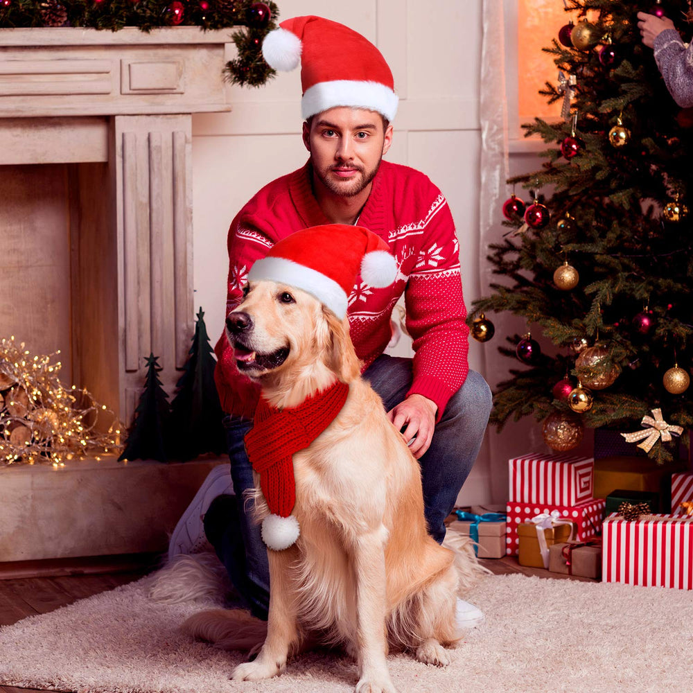 Frienda packaging showing two hats and two scarves for pets