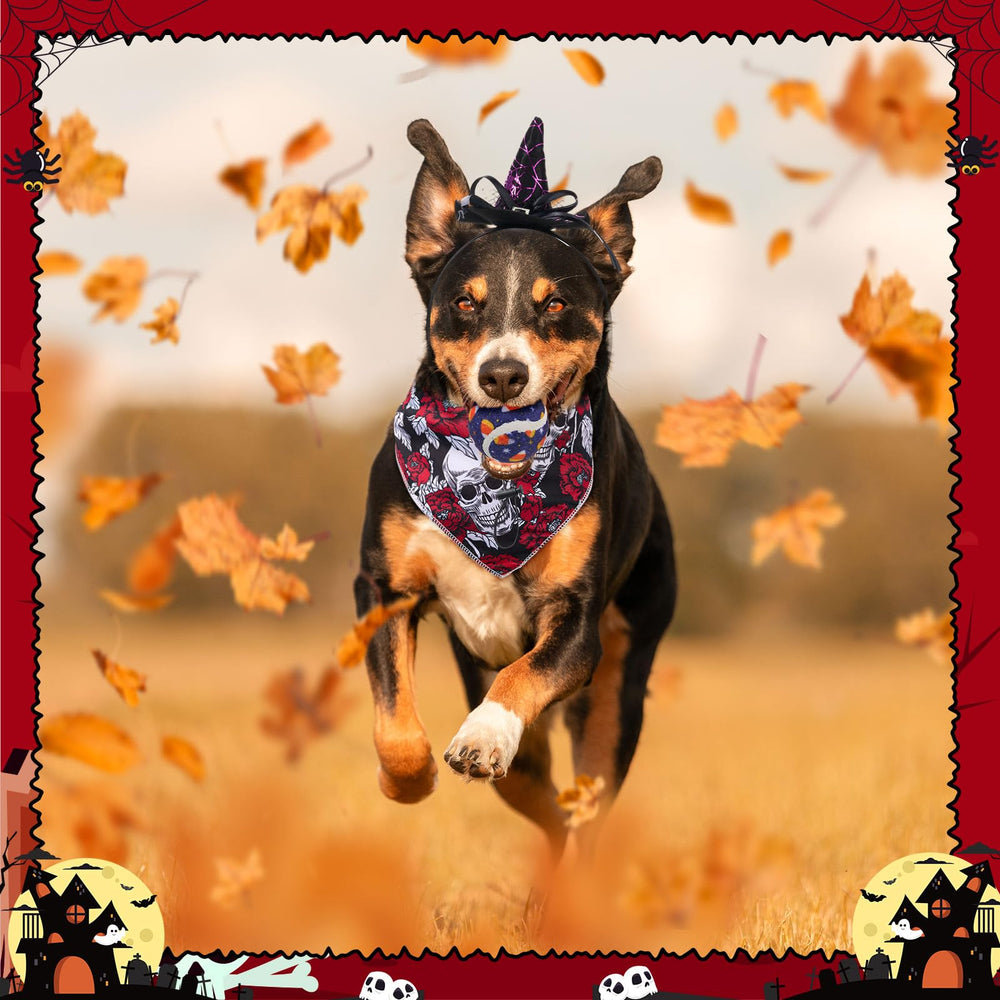 Frienda pet party props for festive occasions and cute photo moments