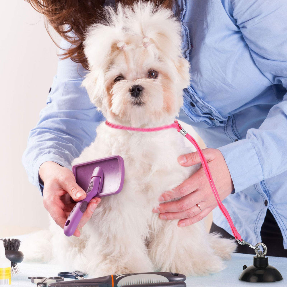 Frienda versatile restraint set handy for bathing, grooming, or vet checks.