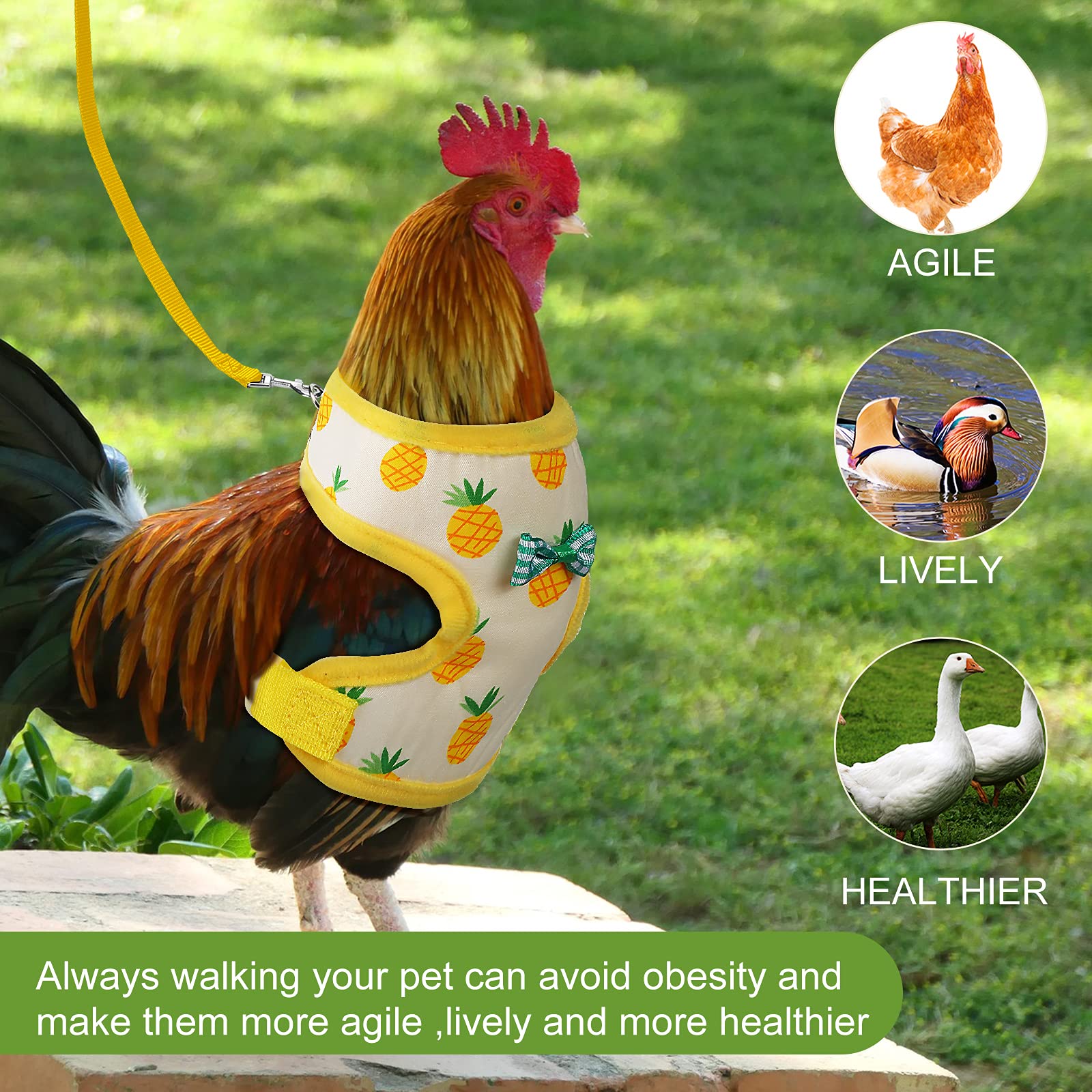 Frienda two pcs elastic harness set suits daily walking and training