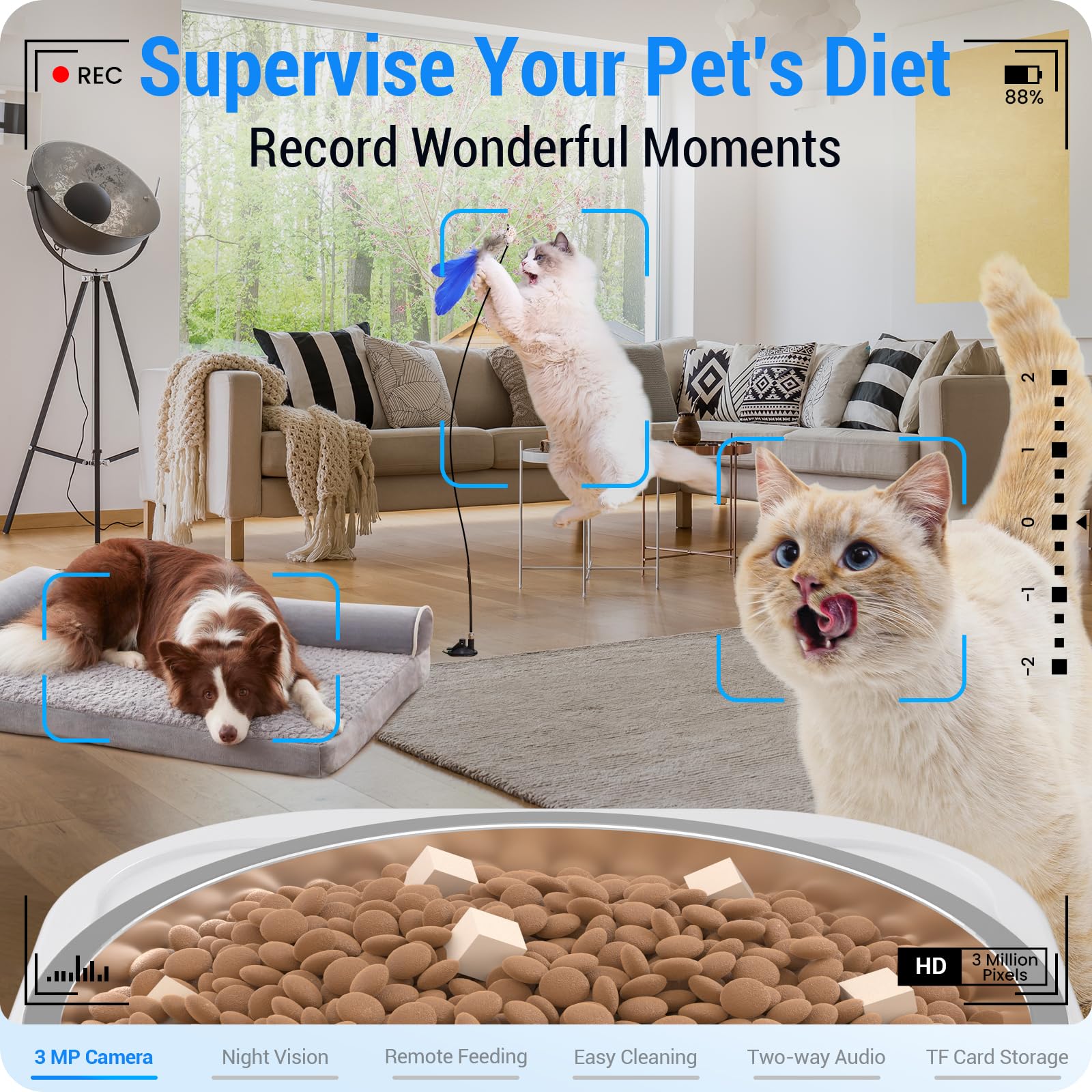Frienhund feeder camera view enables remote pet monitoring and interaction