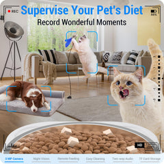 Frienhund feeder camera view enables remote pet monitoring and interaction