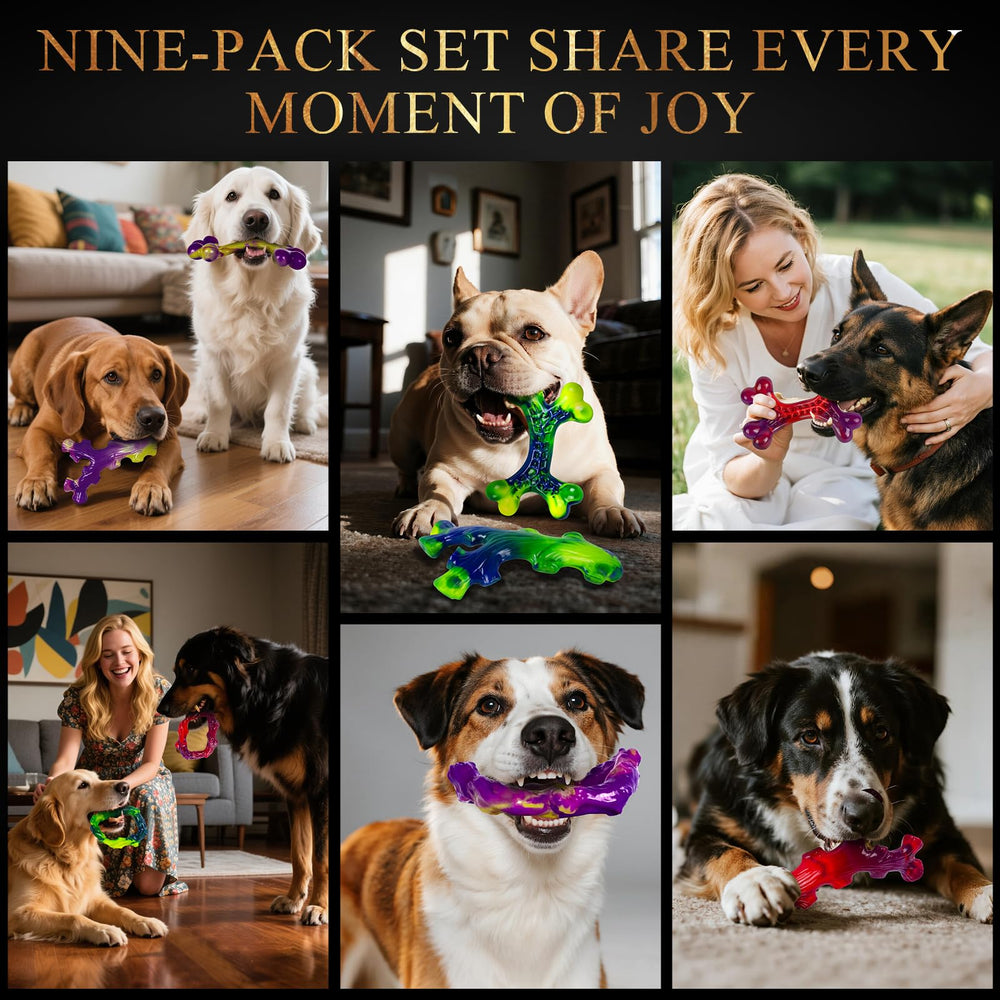 Frienhund dishwasher-safe toy—hygienic, easy cleaning after messy play sessions