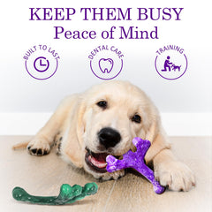 Frienhund easy-clean dishwasher-safe toy for quick cleanup after play.
