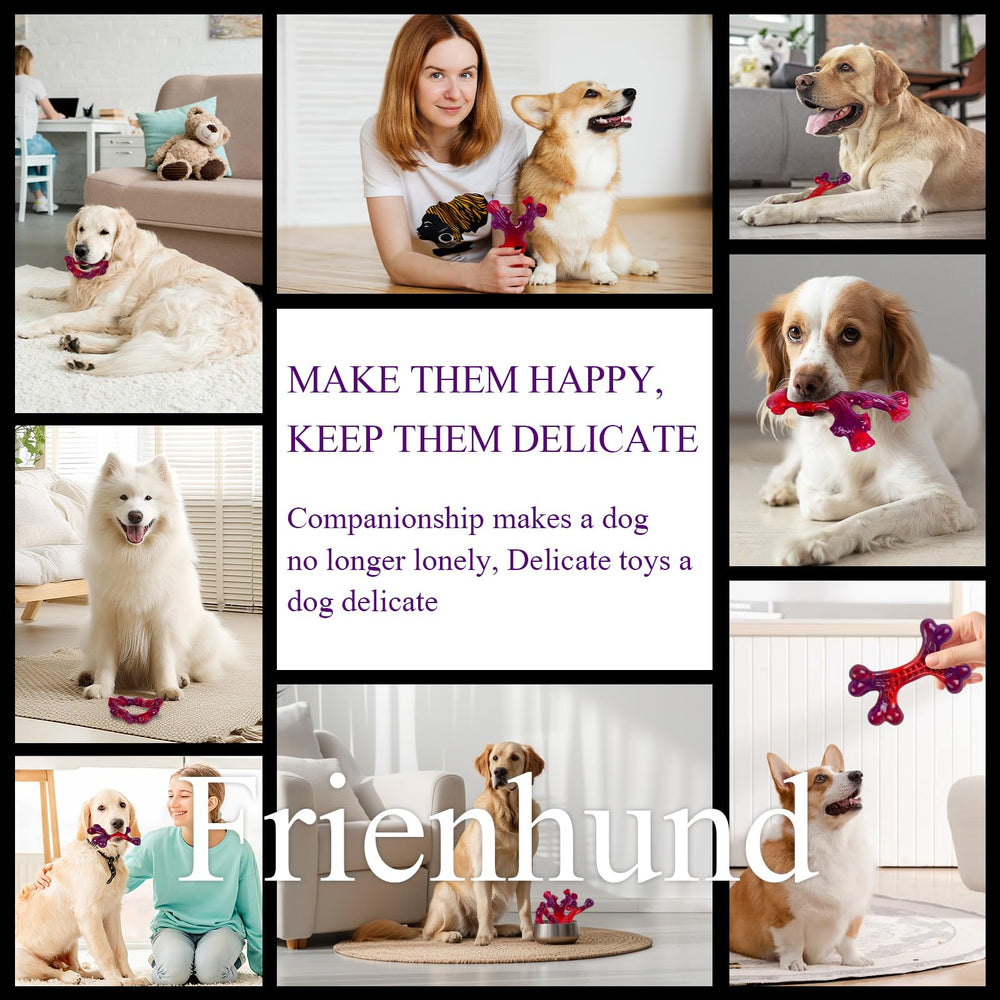 Frienhund easy-clean design survives slobber and wipes clean after play
