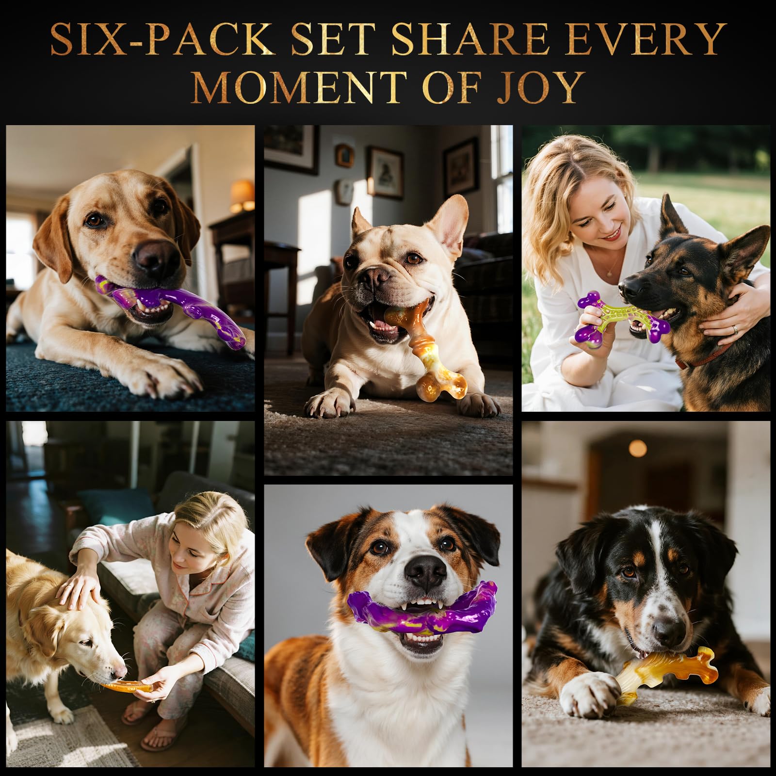 Frienhund gift-ready set ideal for birthdays or gotcha days
