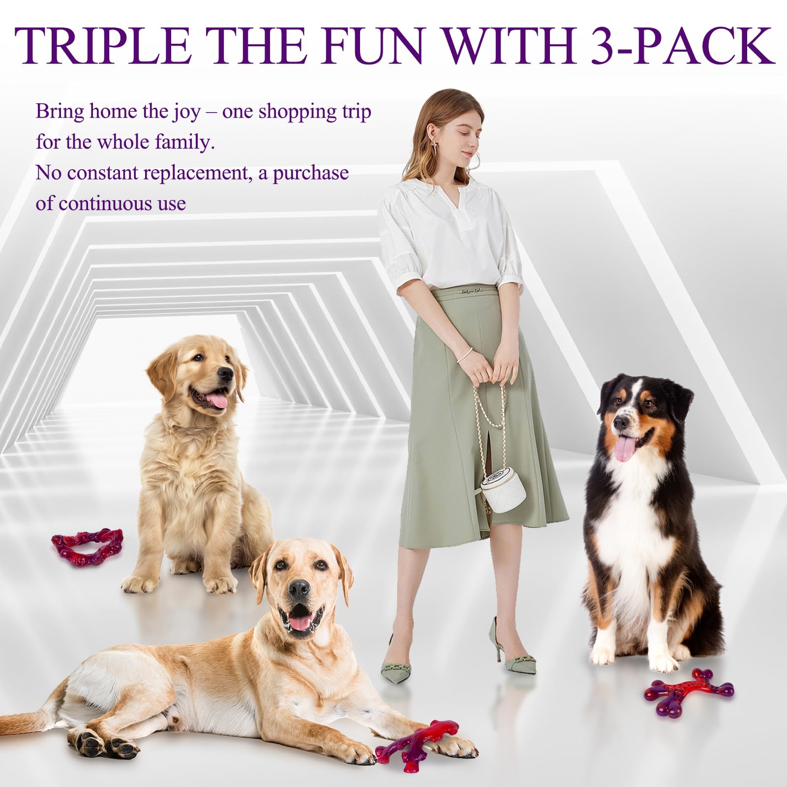 Frienhund triple-pack packaging concept showing three sturdy chew bones for multiple dogs.